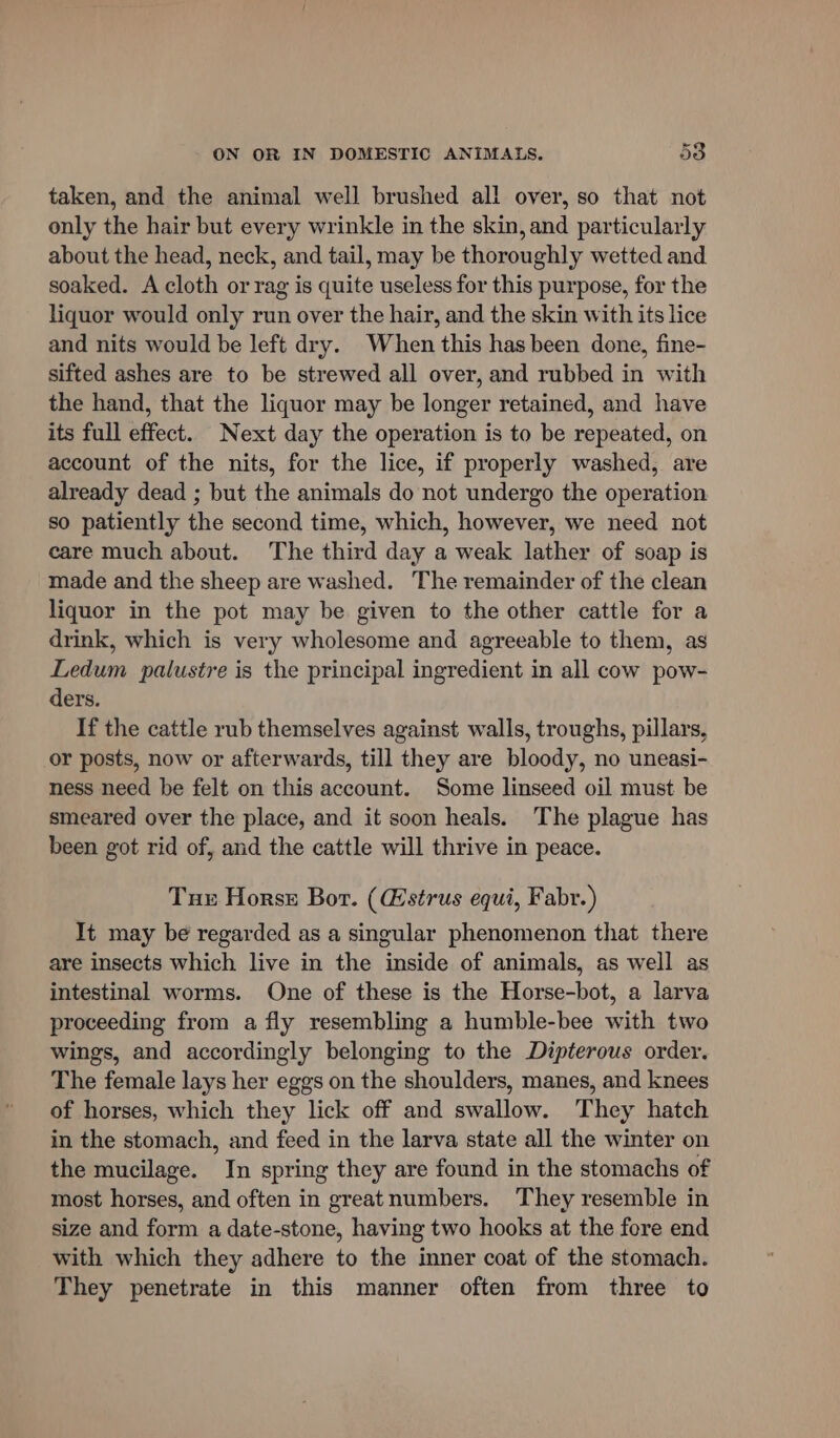 ia taken, and the animal well brushed all over, so that not only the hair but every wrinkle in the skin, and particularly about the head, neck, and tail, may be thoroughly wetted and soaked. A cloth or rag is quite useless for this purpose, for the liquor would only run over the hair, and the skin with its lice and nits would be left dry. When this has been done, fine- sifted ashes are to be strewed all over, and rubbed in with the hand, that the liquor may be longer retained, and have its full effect. Next day the operation is to be repeated, on account of the nits, for the lice, if properly washed, are already dead ; but the animals do not undergo the operation so patiently the second time, which, however, we need not care much about. The third day a weak lather of soap is made and the sheep are washed. The remainder of the clean liquor in the pot may be given to the other cattle for a drink, which is very wholesome and agreeable to them, as Ledum palustre is the principal ingredient in all cow pow- ders. If the cattle rub themselves against walls, troughs, pillars, or posts, now or afterwards, till they are bloody, no uneasi- ness need be felt on this account. Some linseed oil must be smeared over the place, and it soon heals. The plague has been got rid of, and the cattle will thrive in peace. Tux Horss Bor. (@strus equi, Fabr.) It may be regarded as a singular phenomenon that there are insects which live in the inside of animals, as well as intestinal worms. One of these is the Horse-bot, a larva proceeding from a fly resembling a humble-bee with two wings, and accordingly belonging to the Dipterous order. The female lays her eggs on the shoulders, manes, and knees of horses, which they lick off and swallow. They hatch in the stomach, and feed in the larva state all the winter on the mucilage. In spring they are found in the stomachs of most horses, and often in great numbers. ‘They resemble in size and form a date-stone, having two hooks at the fore end with which they adhere to the inner coat of the stomach. They penetrate in this manner often from three to