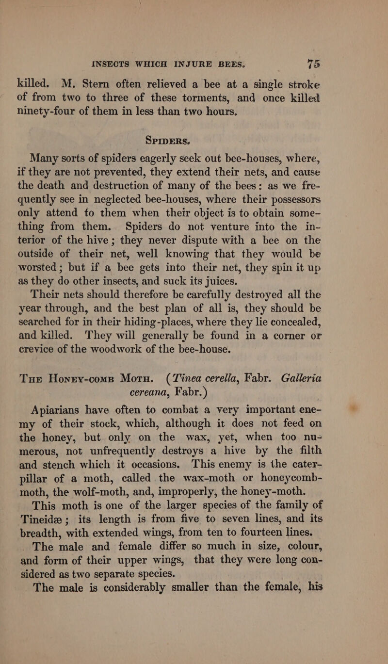 killed. M. Stern often relieved a bee at a single stroke of from two to three of these torments, and once killed ninety-four of them in less than two hours. SPmpERs. Many sorts of spiders eagerly seek out bee-houses, where, if they are not prevented, they extend their nets, and cause the death and destruction of many of the bees: as we fre- quently see in neglected bee-houses, where their possessors only attend to them when their object is to obtain some- thing from them. Spiders do not venture into the in- terior of the hive ; they never dispute with a bee on the outside of their net, well knowing that they would be worsted ; but if a bee gets into their net, they spin it up as they do other insects, and suck its juices. Their nets should therefore be carefully destroyed all the year through, and the best plan of all is, they should be searched for in their hiding-places, where they lie concealed, and killed. They will generally be found in a corner or crevice of the woodwork of the bee-house. Tue Honry-comp Motu. (Tinea cerella, Fabr. Galleria cereana, Fabr.) Apiarians have often to combat a very important ene- my of their ‘stock, which, although it does not feed on the honey, but only on the wax, yet, when too nu- merous, not unfrequently destroys a hive by the filth and stench which it occasions. This enemy is the cater- pillar of a moth, called the wax-moth or honeycomb- moth, the wolf-moth, and, improperly, the honey-moth. This moth is one of the larger species of the family of Tineide ; its length is from five to seven lines, and its breadth, with extended wings, from ten to fourteen lines. The male and female differ so much in size, colour, and form of their upper wings, that they were long con- sidered as two separate species. The male is considerably smaller than the female, his