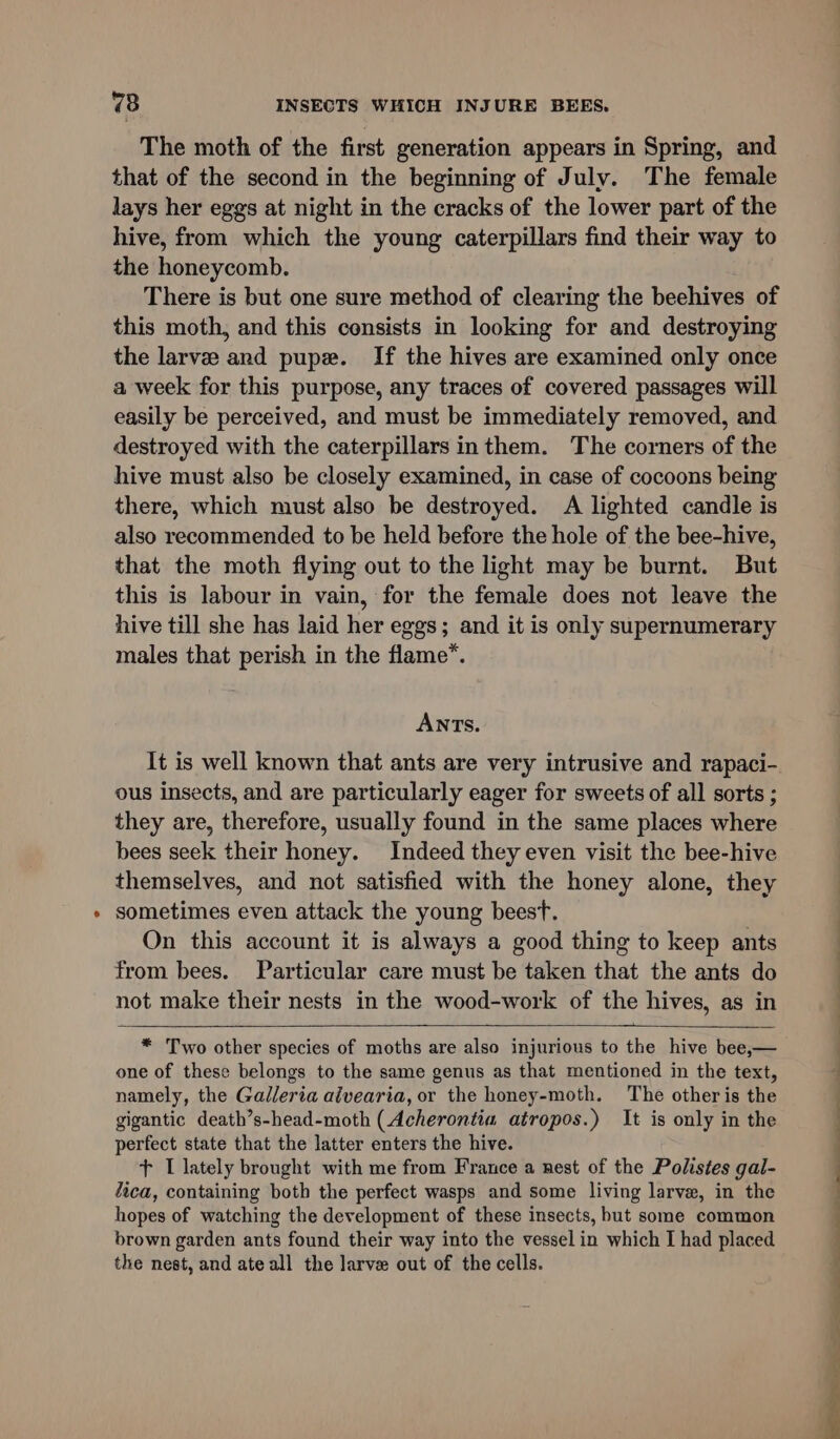 The moth of the first generation appears in Spring, and that of the second in the beginning of July. The female lays her eggs at night in the cracks of the lower part of the hive, from which the young caterpillars find their way to the honeycomb. There is but one sure method of clearing the beehives of this moth, and this consists in looking for and destroying the larvee and pupe. If the hives are examined only once a week for this purpose, any traces of covered passages will easily be perceived, and must be immediately removed, and destroyed with the caterpillars inthem. The corners of the hive must also be closely examined, in case of cocoons being there, which must also be destroyed. A lighted candle is also recommended to be held before the hole of the bee-hive, that the moth flying out to the light may be burnt. But this is labour in vain, for the female does not leave the hive till she has laid her eggs; and it is only supernumerary males that perish in the flame”. ANTs. It is well known that ants are very intrusive and rapaci- ous insects, and are particularly eager for sweets of all sorts ; they are, therefore, usually found in the same places where bees seek their honey. Indeed they even visit the bee-hive themselves, and not satisfied with the honey alone, they sometimes even attack the young beest. On this account it is always a good thing to keep ants from bees. Particular care must be taken that the ants do not make their nests in the wood-work of the hives, as in — * Two other species of moths are also injurious to the hive bee,— one of these belongs to the same genus as that mentioned in the text, namely, the Galleria aivearia, or the honey-moth. The other is the gigantic death’s-head-moth (Acherontia atropos.) It is only in the perfect state that the latter enters the hive. + I lately brought with me from France a nest of the Polistes gal- fica, containing both the perfect wasps and some living larve, in the hopes of watching the development of these insects, but some common the nest, and ate all the larve out of the cells. a es