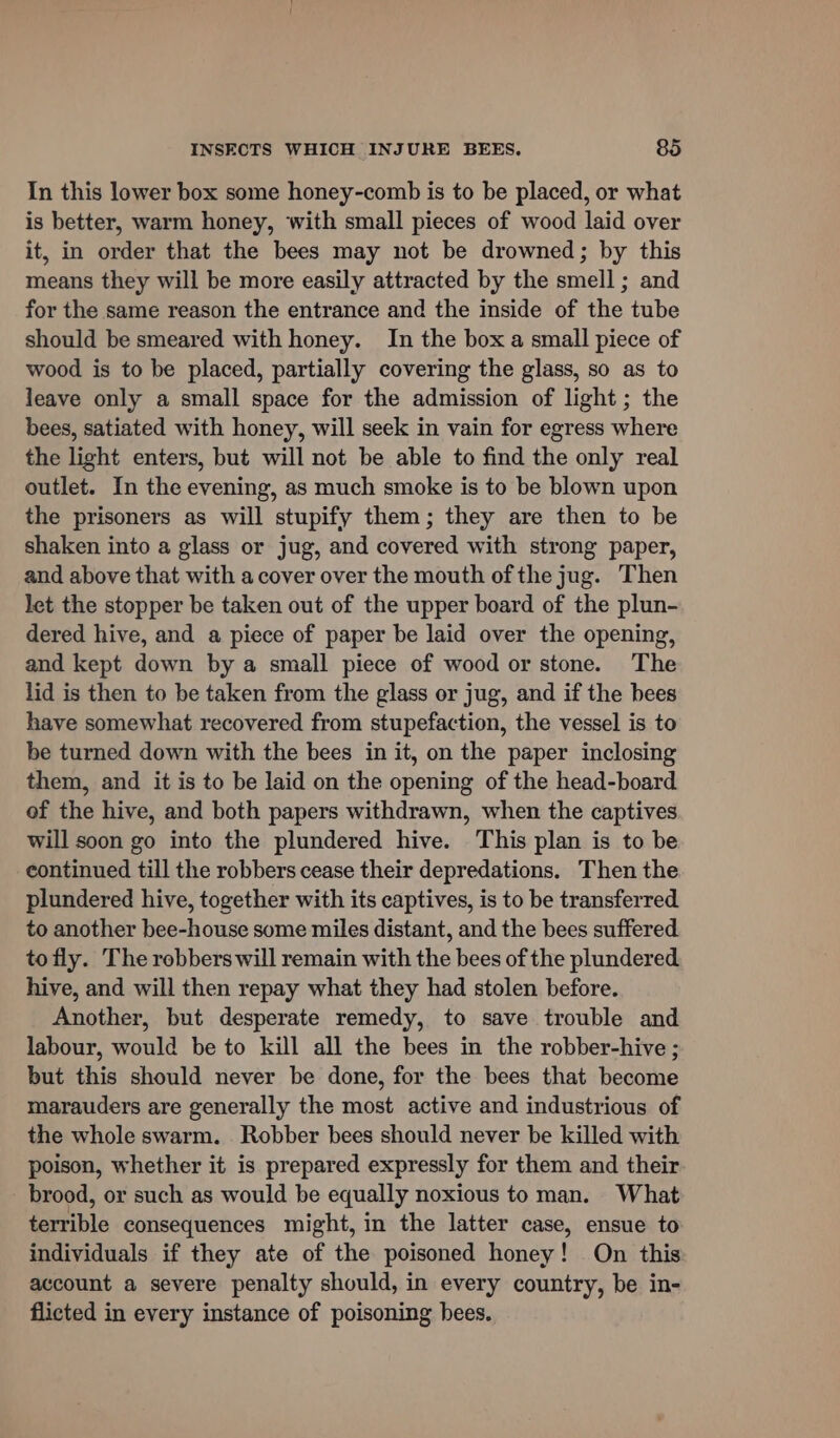 In this lower box some honey-comb is to be placed, or what is better, warm honey, with small pieces of wood laid over it, in order that the bees may not be drowned; by this means they will be more easily attracted by the smell ; and for the same reason the entrance and the inside of the tube should be smeared with honey. In the box a small piece of wood is to be placed, partially covering the glass, so as to leave only a small space for the admission of light; the bees, satiated with honey, will seek in vain for egress where the light enters, but will not be able to find the only real outlet. In the evening, as much smoke is to be blown upon the prisoners as will stupify them; they are then to be shaken into a glass or jug, and covered with strong paper, and above that with a cover over the mouth of the jug. Then let the stopper be taken out of the upper board of the plun- dered hive, and a piece of paper be laid over the opening, and kept down by a small piece of wood or stone. The lid is then to be taken from the glass or jug, and if the bees have somewhat recovered from stupefaction, the vessel is to be turned down with the bees in it, on the paper inclosing them, and it is to be laid on the opening of the head-board of the hive, and both papers withdrawn, when the captives will soon go into the plundered hive. This plan is to be continued till the robbers cease their depredations. Then the plundered hive, together with its captives, is to be transferred to another bee-house some miles distant, and the bees suffered to fly. The robbers will remain with the bees of the plundered hive, and will then repay what they had stolen before. Another, but desperate remedy, to save trouble and labour, would be to kill all the bees in the robber-hive ; but this should never be done, for the bees that become marauders are generally the most active and industrious of the whole swarm. Robber bees should never be killed with poison, whether it is prepared expressly for them and their brood, or such as would be equally noxious to man. What terrible consequences might, in the latter case, ensue to individuals if they ate of the poisoned honey! On this account a severe penalty should, in every country, be in- flicted in every instance of poisoning bees.