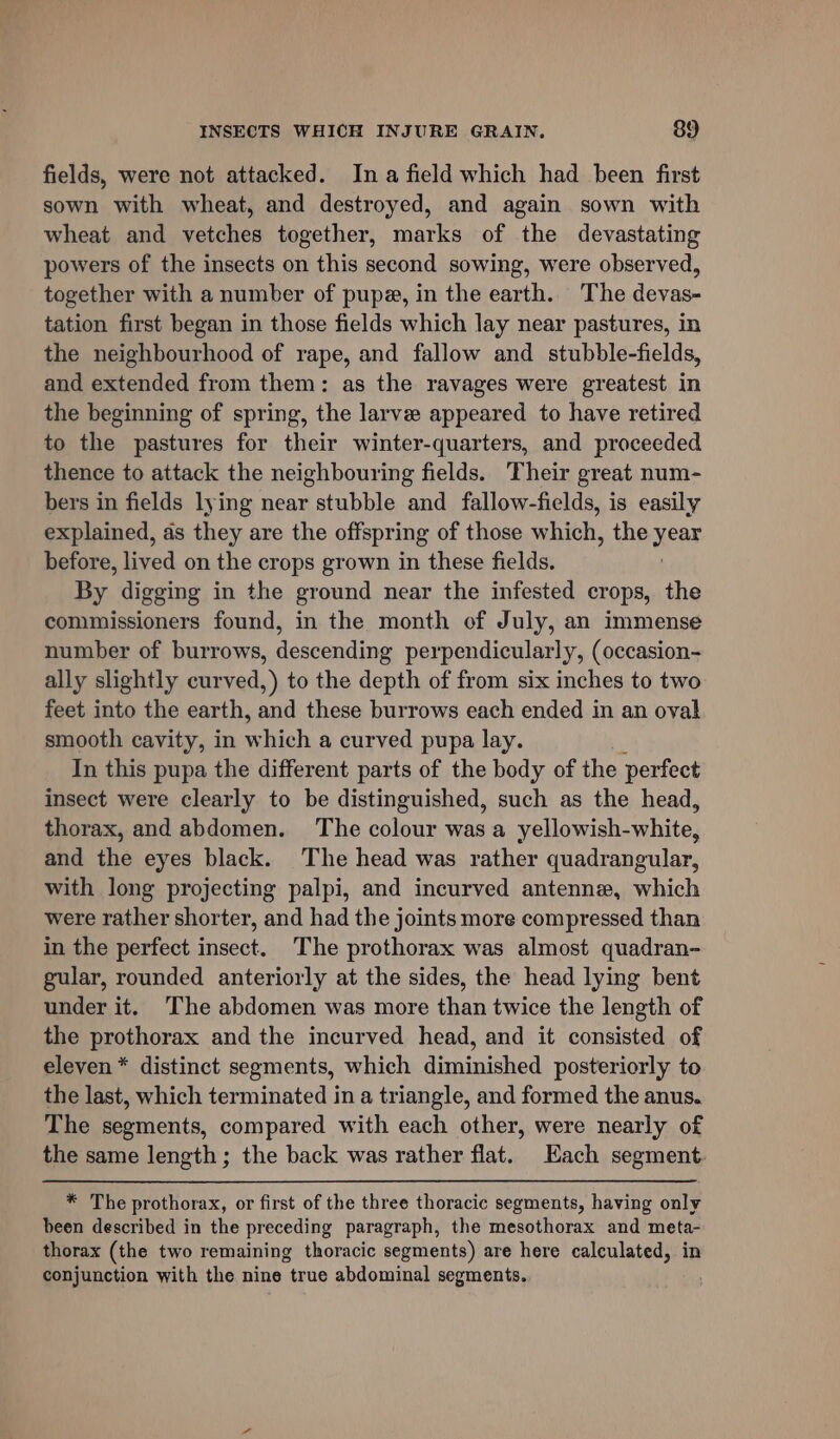 fields, were not attacked. Ina field which had been first sown with wheat, and destroyed, and again sown with wheat and vetches together, marks of the devastating powers of the insects on this second sowing, were observed, together with a number of pupa, in the earth. The devas- tation first began in those fields which lay near pastures, in the neighbourhood of rape, and fallow and stubble-fields, and extended from them: as the ravages were greatest in the beginning of spring, the larvee appeared to have retired to the pastures for their winter-quarters, and proceeded thence to attack the neighbouring fields. Their great num- bers in fields lying near stubble and fallow-fields, is easily explained, as they are the offspring of those which, the yeas before, lived on the crops grown in these fields. By digging in the ground near the infested crops, the commissioners found, in the month of July, an immense number of burrows, descending perpendicularly, (occasion- ally slightly curved,) to the depth of from six inches to two feet into the earth, and these burrows each ended in an oval smooth cavity, in which a curved pupa lay. In this pupa the different parts of the body of the perfect insect were clearly to be distinguished, such as the head, thorax, and abdomen. The colour was a yellowish-white, and the eyes black. The head was rather quadrangular, with long projecting palpi, and incurved antenne, which were rather shorter, and had the joints more compressed than in the perfect insect. The prothorax was almost quadran- gular, rounded anteriorly at the sides, the head lying bent under it. The abdomen was more than twice the length of the prothorax and the incurved head, and it consisted of eleven* distinct segments, which diminished posteriorly to the last, which terminated in a triangle, and formed the anus. The segments, compared with each other, were nearly of the same length; the back was rather flat. Each segment. *\ The prothorax, or first of the three thoracic segments, having only been described in the preceding paragraph, the mesothorax and meta- thorax (the two remaining thoracic segments) are here calculated, in conjunction with the nine true abdominal segments.