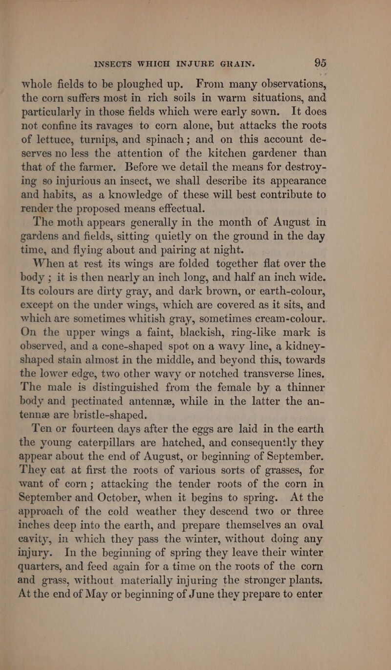 whole fields to be ploughed up. From many observations, the corn suffers most in rich soils in warm situations, and particularly in those fields which were early sown. It does not confine its ravages to corn alone, but attacks the roots of lettuce, turnips, and spinach; and on this account de- serves no less the attention of the kitchen gardener than that of the farmer. Before we detail the means for destroy- ing so injurious an insect, we shall describe its appearance and habits, as a knowledge of these will best contribute to render the proposed means effectual. The moth appears generally in the month of August in gardens and fields, sitting quietly on the ground in the day time, and flying about and pairing at night. When at rest its wings are folded together flat over the body ; it is then nearly an inch long, and half an inch wide. Its colours are dirty gray, and dark brown, or earth-colour, except on the under wings, which are covered as it sits, and which are sometimes whitish gray, sometimes cream-colour.. On the upper wings a faint, blackish, ring-like mark is observed, and a cone-shaped spot on a wavy line, a kidney- shaped stain almost in the middle, and beyond this, towards the lower edge, two other wavy or notched transverse lines. The male is distinguished from the female by a thinner body and pectinated antennz, while in the latter the an- tenne are bristle-shaped. Ten or fourteen days after the eggs are laid in the earth the young caterpillars are hatched, and consequently they appear about the end of August, or beginning of September. They eat at first the roots of various sorts of grasses, for want of corn; attacking the tender roots of the corn in September and October, when it begins to spring. At the approach of the cold weather they descend two or three inches deep into the earth, and prepare themselves an oval cavity, in which they pass the winter, without doing any injury. In the beginning of spring they leave their winter quarters, and feed again for a time on the roots of the corn and grass, without materially injuring the stronger plants, At the end of May or beginning of June they prepare to enter