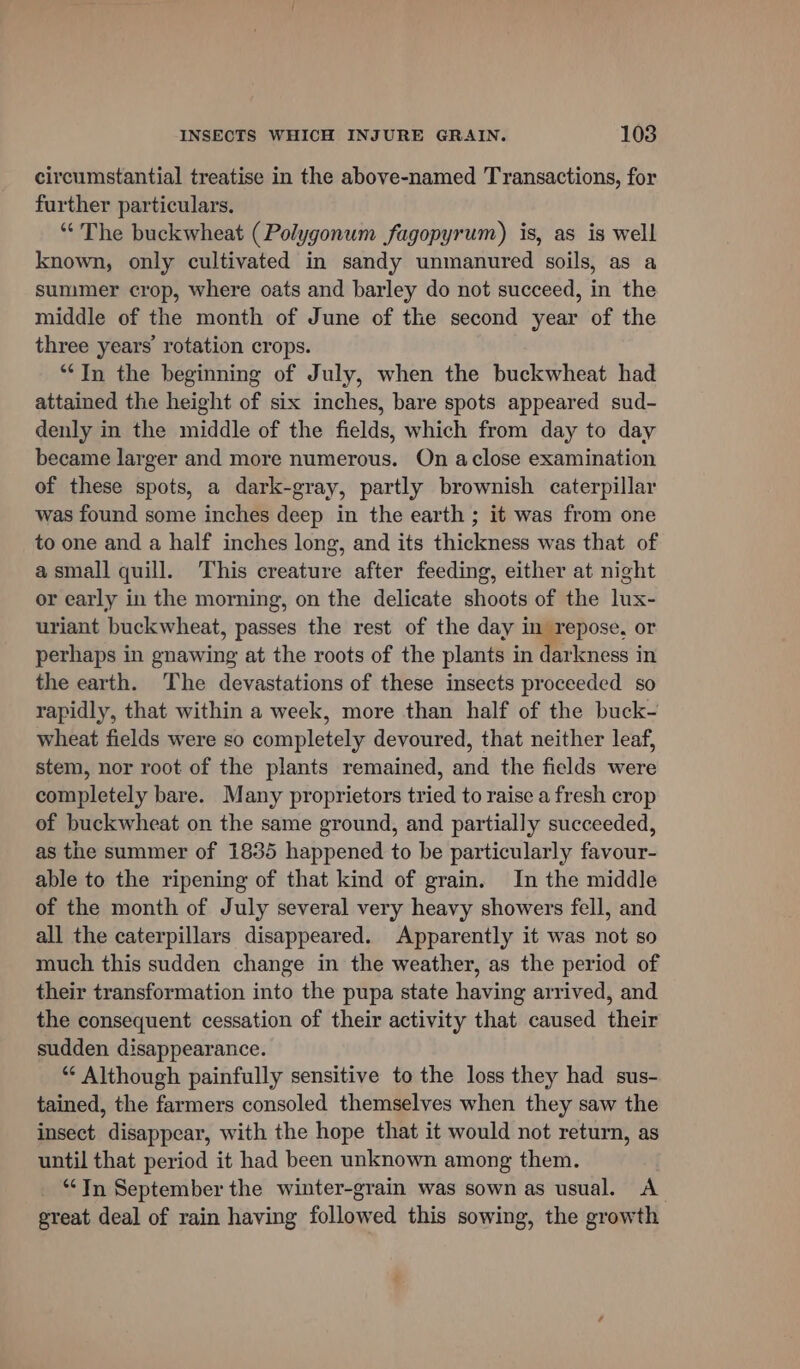 circumstantial treatise in the above-named Transactions, for further particulars. ‘“‘ The buckwheat (Polygonum fagopyrum) is, as is well known, only cultivated in sandy unmanured soils, as a summer crop, where oats and barley do not succeed, in the middle of the month of June of the second year of the three years’ rotation crops. “In the beginning of July, when the buckwheat had attained the height of six inches, bare spots appeared sud- denly in the middle of the fields, which from day to day became larger and more numerous. On aclose examination of these spots, a dark-gray, partly brownish caterpillar was found some inches deep in the earth ; it was from one to one and a half inches long, and its thickness was that of asmall quill. This creature after feeding, either at night or early in the morning, on the delicate shoots of the lux- uriant buckwheat, passes the rest of the day in repose, or perhaps in gnawing at the roots of the plants in darkness in the earth. The devastations of these insects proceeded so rapidly, that within a week, more than half of the buck- wheat fields were so completely devoured, that neither leaf, stem, nor root of the plants remained, and the fields were completely bare. Many proprietors tried to raise a fresh crop of buckwheat on the same ground, and partially succeeded, as the summer of 1835 happened to be particularly favour- able to the ripening of that kind of grain. In the middle of the month of July several very heavy showers fell, and all the caterpillars disappeared. Apparently it was not so much this sudden change in the weather, as the period of their transformation into the pupa state having arrived, and the consequent cessation of their activity that caused their sudden disappearance. ** Although painfully sensitive to the loss they had sus- tained, the farmers consoled themselves when they saw the insect disappear, with the hope that it would not return, as until that period it had been unknown among them. “In September the winter-grain was sown as usual. A great deal of rain having followed this sowing, the growth