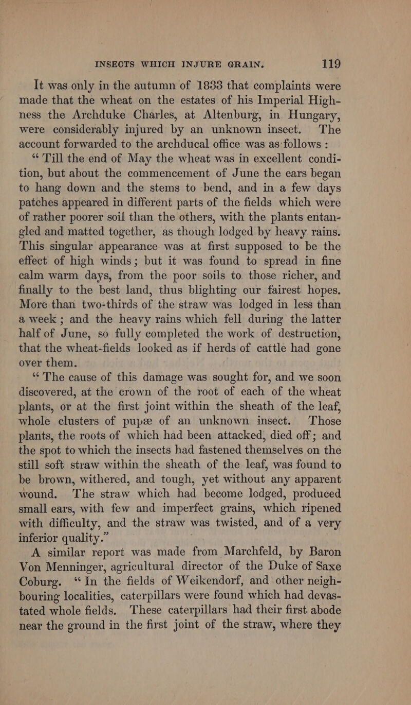 It was only in the autumn of 1833 that complaints were made that the wheat on the estates of his Imperial High- ness the Archduke Charles, at Altenburg, in Hungary, were considerably injured by an unknown insect. The account forwarded to the archducal office was as follows : *¢ Till the end of May the wheat was in excellent condi- tion, but about the commencement of June the ears began to hang down and the stems to bend, and in a few days patches appeared in different parts of the fields which were of rather poorer soil than the others, with the plants entan- gled and matted together, as though lodged by heavy rains. This singular appearance was at first supposed to be the effect of high winds; but it was found to spread in fine calm warm days, from the poor soils to. those richer, and finally to the best land, thus blighting our fairest hopes. More than two-thirds of the straw was lodged in less than a week ; and the heavy rains which fell during the latter half of June, so fully completed the work of destruction, that the wheat-fields looked as if herds of cattle had gone over them. ‘The cause of this damage was sought for, and we soon discovered, at the crown of the root of each of the wheat plants, or at the first joint within the sheath of the leaf, whole clusters of pupze of an unknown insect. Those plants, the roots of which had been attacked, died off; and the spot to which the insects had fastened themselves on the still soft straw within the sheath of the leaf, was found to be brown, withered, and tough, yet without any apparent wound. The straw which had become lodged, produced small ears, with few and imperfect grains, which ripened with difficulty, and the straw was twisted, and of a very inferior quality.” A similar report was made from Marchfeld, by Baron Von Menninger, agricultural director of the Duke of Saxe Coburg. ‘In the fields of Weikendorf, and other neigh- bouring localities, caterpillars were found which had devas- tated whole fields. These caterpillars had their first abode near the ground in the first joint of the straw, where they