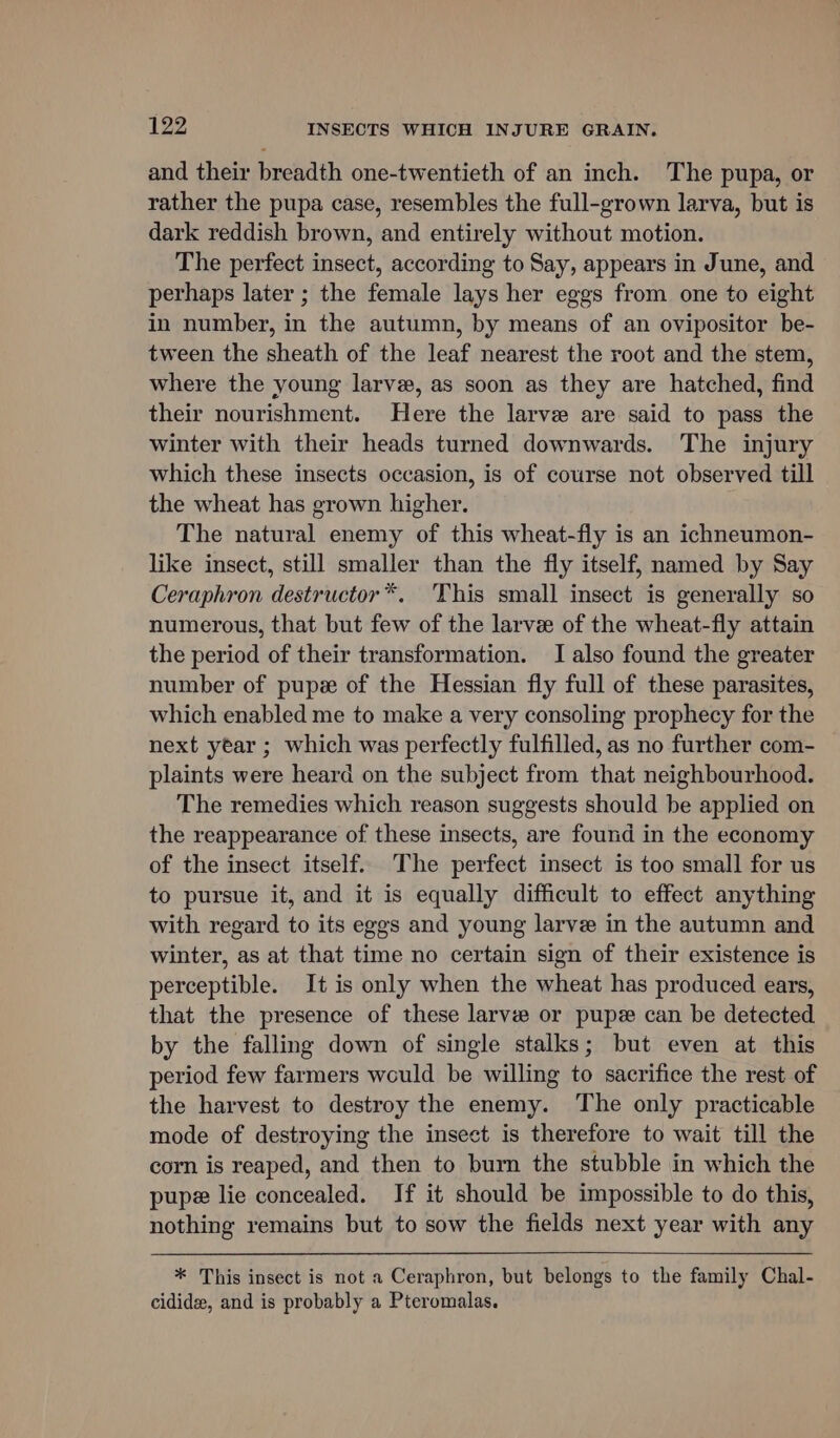 and their breadth one-twentieth of an inch. The pupa, or rather the pupa case, resembles the full-grown larva, but is dark reddish brown, and entirely without motion. The perfect insect, according to Say, appears in June, and perhaps later ; the female lays her eggs from one to eight in number, in the autumn, by means of an ovipositor be- tween the sheath of the leaf nearest the root and the stem, where the young larve, as soon as they are hatched, find their nourishment. Here the larve are said to pass the winter with their heads turned downwards. The injury which these insects occasion, is of course not observed till the wheat has grown higher. The natural enemy of this wheat-fly is an ichneumon- like insect, still smaller than the fly itself, named by Say Ceraphron destructor*. This small insect is generally so numerous, that but few of the larvee of the wheat-fly attain the period of their transformation. I also found the greater number of pupe of the Hessian fly full of these parasites, which enabled me to make a very consoling prophecy for the next year ; which was perfectly fulfilled, as no further com- plaints were heard on the subject from that neighbourhood. The remedies which reason suggests should be applied on the reappearance of these insects, are found in the economy of the insect itself. The perfect insect is too small for us to pursue it, and it is equally difficult to effect anything with regard to its eggs and young larve in the autumn and winter, as at that time no certain sign of their existence is perceptible. It is only when the wheat has produced ears, that the presence of these larve or pup can be detected by the falling down of single stalks; but even at this period few farmers would be willing to sacrifice the rest of the harvest to destroy the enemy. The only practicable mode of destroying the insect is therefore to wait till the corn is reaped, and then to burn the stubble in which the pup lie concealed. If it should be impossible to do this, nothing remains but to sow the fields next year with any * This insect is not a Ceraphron, but belongs to the family Chal- cidide, and is probably a Pteromalas.