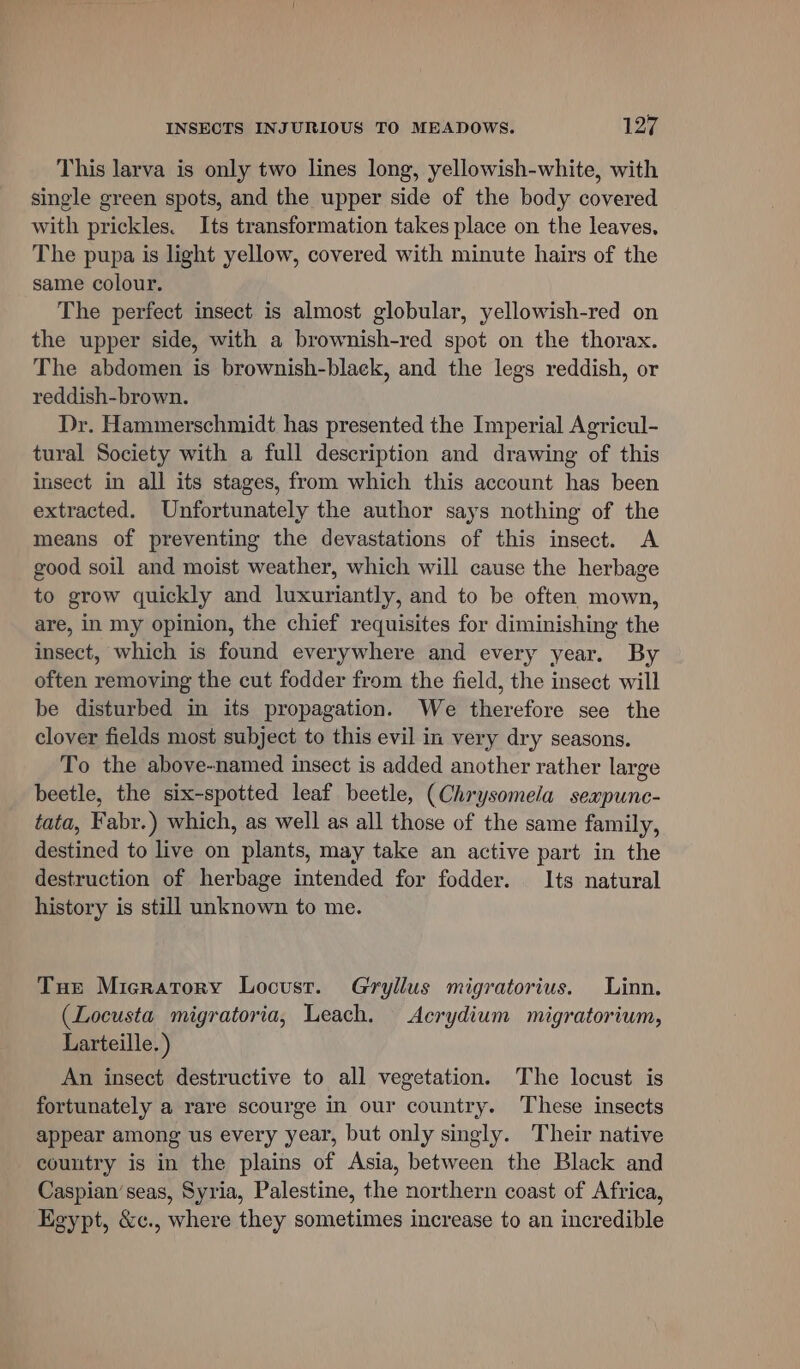 This larva is only two lines long, yellowish-white, with single green spots, and the upper side of the body covered with prickles. Its transformation takes place on the leaves, The pupa is light yellow, covered with minute hairs of the same colour. The perfect insect is almost globular, yellowish-red on the upper side, with a brownish-red spot on the thorax. The abdomen is brownish-black, and the legs reddish, or reddish-brown. Dr. Hammerschmidt has presented the Imperial Agricul- tural Society with a full description and drawing of this insect in all its stages, from which this account has been extracted. Unfortunately the author says nothing of the means of preventing the devastations of this insect. A good soil and moist weather, which will cause the herbage to grow quickly and luxuriantly, and to be often mown, are, in my opinion, the chief requisites for diminishing the insect, which is found everywhere and every year. By often removing the cut fodder from the field, the insect will be disturbed in its propagation. We therefore see the clover fields most subject to this evil in very dry seasons. To the above-named insect is added another rather large beetle, the six-spotted leaf beetle, (Chrysomela sexpunc- tata, Faby.) which, as well as all those of the same family, destined to live on plants, may take an active part in the destruction of herbage intended for fodder. Its natural history is still unknown to me. Tue Mieratory Locust. Gryllus migratorius. Linn. (Locusta migratoria, Leach. Acrydium migratorium, Larteille.) An insect destructive to all vegetation. The locust is fortunately a rare scourge in our country. These insects appear among us every year, but only singly. Their native country is in the plains of Asia, between the Black and Caspian’seas, Syria, Palestine, the northern coast of Africa, Egypt, &amp;c., where they sometimes increase to an incredible