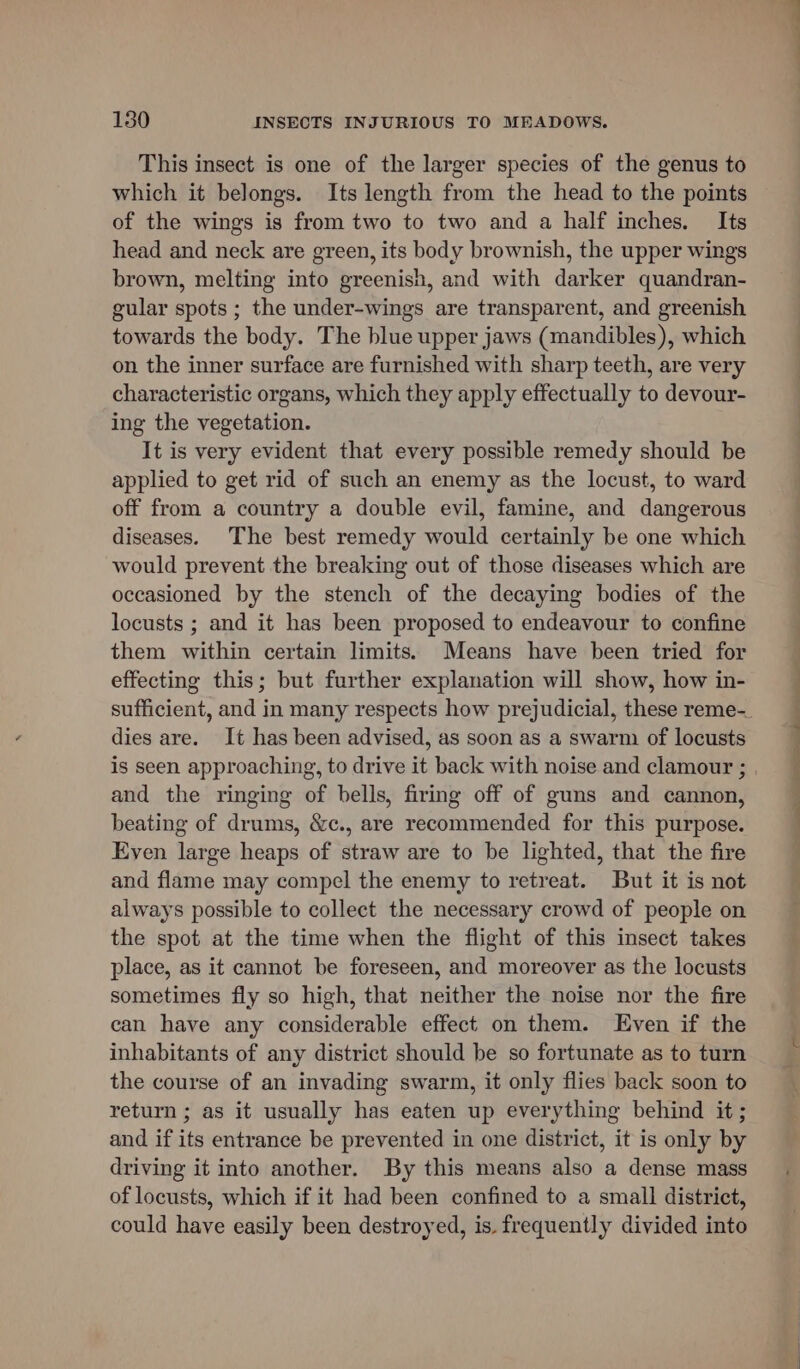 This insect is one of the larger species of the genus to which it belongs. Its length from the head to the points of the wings is from two to two and a half inches. Its head and neck are green, its body brownish, the upper wings brown, melting into greenish, and with darker quandran- gular spots ; the under-wings are transparent, and greenish towards the body. The blue upper jaws (mandibles), which on the inner surface are furnished with sharp teeth, are very characteristic organs, which they apply effectually to devour- ing the vegetation. It is very evident that every possible remedy should be applied to get rid of such an enemy as the locust, to ward off from a country a double evil, famine, and dangerous diseases. The best remedy would certainly be one which would prevent the breaking out of those diseases which are occasioned by the stench of the decaying bodies of the locusts ; and it has been proposed to endeavour to confine them within certain limits. Means have been tried for effecting this; but further explanation will show, how in- dies are. It has been advised, as soon as a swarm of locusts is seen approaching, to drive it back with noise and clamour ; and the ringing of bells, firing off of guns and cannon, beating of drums, &amp;c., are recommended for this purpose. Even large heaps of straw are to be lighted, that the fire and flame may compel the enemy to retreat. But it is not always possible to collect the necessary crowd of people on the spot at the time when the flight of this insect takes place, as it cannot be foreseen, and moreover as the locusts sometimes fly so high, that neither the noise nor the fire can have any considerable effect on them. Even if the inhabitants of any district should be so fortunate as to turn the course of an invading swarm, it only flies back soon to return ; as it usually has eaten up everything behind it; and if its entrance be prevented in one district, it is only by driving it into another. By this means also a dense mass of locusts, which if it had been confined to a small district, could have easily been destroyed, is. frequently divided into SE Se eee ee