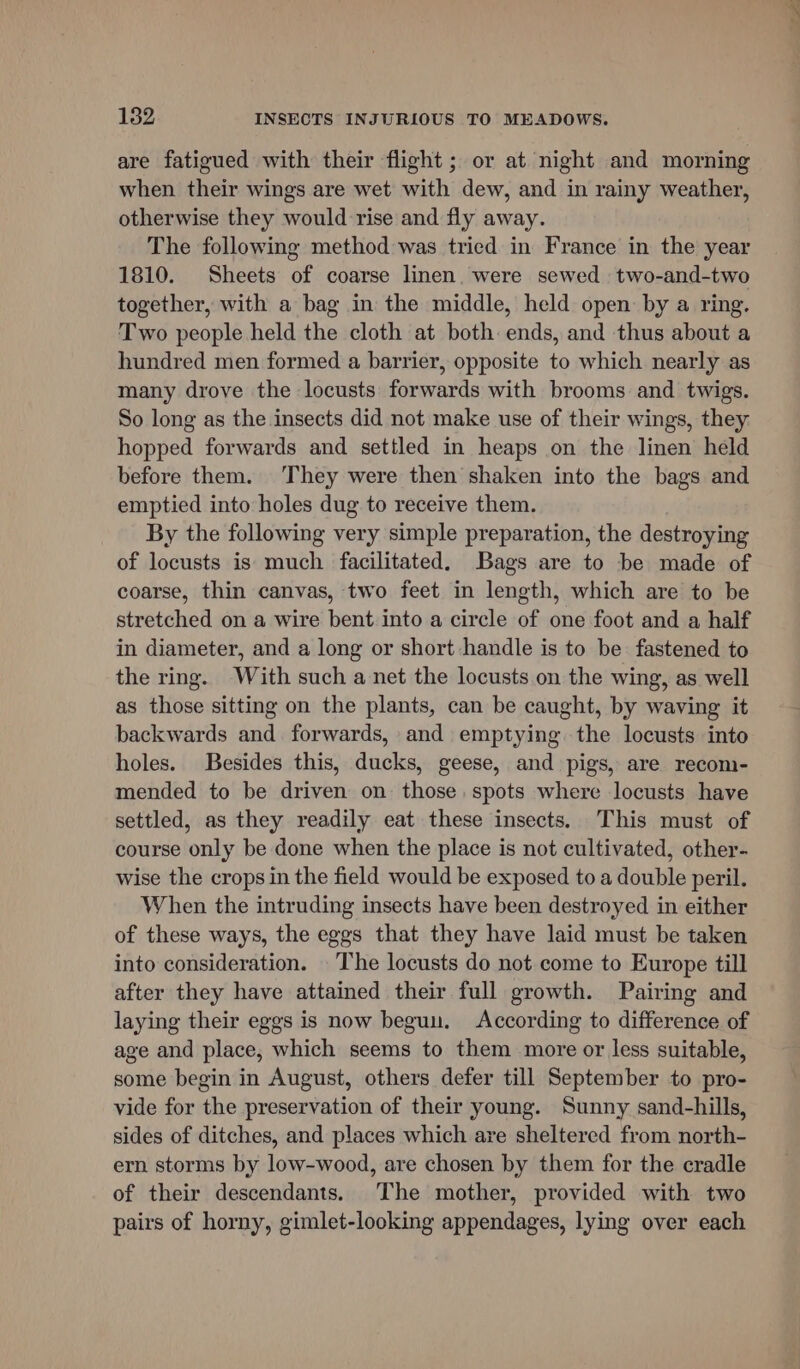 are fatigued with their flight ; or at night and morning when their wings are wet with dew, and in rainy weather, otherwise they would rise and fly away. The following method was tried in France in the year 1810. Sheets of coarse linen. were sewed two-and-two together, with a bag in the middle, held open by a ring. Two people held the cloth at both: ends, and thus about a hundred men formed a barrier, opposite to which nearly as many drove the locusts forwards with brooms and twigs. So long as the insects did not make use of their wings, they. hopped forwards and settled in heaps on the linen held before them. They were then shaken into the bags and emptied into holes dug to receive them. By the following very simple preparation, the destroying of locusts is much facilitated. Bags are to be made of coarse, thin canvas, two feet in leant! which are to be stretched on a wire bent into a circle of one foot and a half in diameter, and a long or short handle is to be fastened to the ring. With such a net the locusts on the wing, as well as those sitting on the plants, can be caught, by waving it backwards and forwards, and emptying. the locusts into holes. Besides this, ducks, geese, and pigs, are recom- mended to be driven on those. spots where locusts have settled, as they readily eat these insects. This must of course only be done when the place is not cultivated, other- wise the crops in the field would be exposed to a double peril. When the intruding insects have been destroyed in either of these ways, the eggs that they have laid must be taken into consideration. The locusts do not come to Europe till after they have attained their full growth. Pairing and laying their eggs is now begun. According to difference of age and place, which seems to them more or less suitable, some begin in August, others defer till September to pro- vide for the preservation of their young. Sunny sand-hills, sides of ditches, and places which are sheltered from north- ern storms by low-wood, are chosen by them for the cradle of their descendants. The mother, provided with two pairs of horny, gimlet-looking appendages, lying over each ~ 2 op