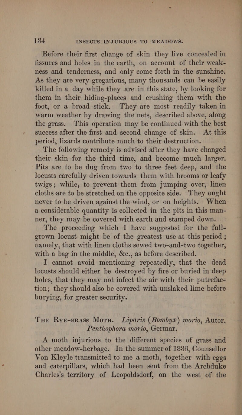 Before their first change of skin they live concealed in fissures and holes in the earth, on account of their weak- ness and tenderness, and only come forth in the sunshine. As they are very gregarious, many thousands can be easily killed in a day while they are in this state, by looking for them in their hiding-places and crushing them with the foot, or a broad stick. They are most readily taken in warm weather by drawing the nets, described above, along the grass. This operation may be continued with the best success after the first and second change of skin. At this period, lizards contribute much to their destruction. The following remedy is advised after they have changed their skin for the third time, and become much larger. Pits are to be dug from two to three feet deep, and the locusts carefully driven towards them with brooms or leafy twigs; while, to prevent them from jumping over, linen cloths are to be stretched on the opposite side. They ought never to be driven against the wind, or on heights. When a considerable quantity is collected in the pits in this man- ner, they may be covered with earth and stamped down. The proceeding which I have suggested for the full- grown locust might be of the greatest use at this period ; namely, that with linen cloths sewed two-and-two together, with a bag in the middle, &amp;c., as before described. I cannot avoid mentioning repeatedly, that the dead locusts should either be destroyed by fire or buried in deep holes, that they may not infect the air with their putrefac- tion; they should also be covered with unslaked lime before burying, for greater security. Tue Rye-crass Morn. Liparis (Bombyx) morio, Autor. Penthophora morio, Germar. A moth injurious to the different species of grass and other meadow-herbage. In the summer of 1836, Counsellor Von Kleyle transmitted to me a moth, together with eggs and caterpillars, which had been sent from the Archduke Charles's territory of Leopoldsdorf, on the west of the