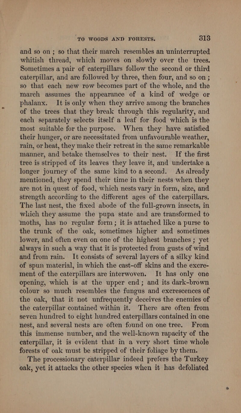 and so on; so that their march resembles an uninterrupted whitish thread, which moves on slowly over the trees. Sometimes a pair of caterpillars follow the second or third caterpillar, and are followed by three, then four, and so on ; so that each new row becomes part of the whole, and the march assumes the appearance of a kind of wedge or phalanx. It is only when they arrive among the branches of the trees that they break through this regularity, and each separately selects itself a leaf for food which is the most suitable for the purpose. When they have satisfied their hunger, or are necessitated from unfavourable weather, rain, or heat, they make their retreat in the same remarkable manner, and betake themselves to their nest. If the first tree is stripped of its leaves they leave it, and undertake a longer journey of the same kind toa second. As already mentioned, they spend their time in their nests when they are not in quest of food, which nests vary in form, size, and strength according to the different ages of the caterpillars. The last nest, the fixed abode of the full-grown insects, in which they assume the pupa state and are transformed to moths, has no regular form; it is attached like a purse to the trunk of the oak, sometimes higher and sometimes lower, and often even on one of the highest branches ; yet always in such a way that it is protected from gusts of wind and from rain. It consists of several layers of a silky kind of spun material, in which the cast-off skins and the excre- ment of the caterpillars are interwoven. It has only one opening, which is at the upper end; and its dark-brown colour so much resembles the fungus and excrescences of the oak, that it not unfrequently deceives the enemies of the caterpillar contained within it. There are often from seven hundred to eight hundred caterpillars contained in one nest, and several nests are often found on one tree. From this immense number, and the well-known rapacity of the caterpillar, it is evident that in a very short time whole forests of oak must be stripped of their foliage by them. The processionary caterpillar indeed prefers the Turkey oak, yet it attacks the other species when it has defoliated