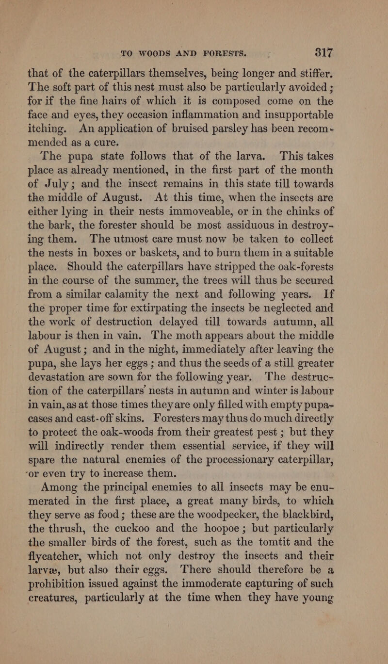 that of the caterpillars themselves, being longer and stiffer. The soft part of this nest must also be particularly avoided ; for if the fine hairs of which it is composed come on the face and eyes, they occasion inflammation and insupportable itching. An application of bruised parsley has been recom - mended as a cure. The pupa state follows that of the larva. This takes place as already mentioned, in the first part of the month of July; and the insect remains in this state till towards the middle of August. At this time, when the insects are either lying in their nests immoveable, or in the chinks of the bark, the forester should be most assiduous in destroy- ing them. The utmost care must now be taken to collect the nests in boxes or baskets, and to burn them in a suitable place. Should the caterpillars have stripped the oak-forests in the course of the summer, the trees will thus be secured from a similar calamity the next and following years. If the proper time for extirpating the insects be neglected and the work of destruction delayed till towards autumn, all labour is then in vain. The moth appears about the middle of August; and in the night, immediately after leaving the pupa, she lays her eggs ; and thus the seeds of a still greater devastation are sown for the following year. The destruc- tion of the caterpillars’ nests in autumn and winter is labour in vain, as at those times theyare only filled with empty pupa- cases and cast-off skins. Foresters may thus do much directly to protect the oak-woods from their greatest pest ; but they will indirectly render them essential service, if they will spare the natural enemies of the processionary caterpillar, ‘or even try to increase them. Among the principal enemies to all insects may be enu- merated in the first place, a great many birds, to which they serve as food; these are the woodpecker, the blackbird, the thrush, the cuckoo and the hoopoe ; but particularly the smaller birds of the forest, such as the tomtit and the flycatcher, which not only destroy the insects and their larvew, but also their eggs. There should therefore be a prohibition issued against the immoderate capturing of such creatures, particularly at the time when they have young