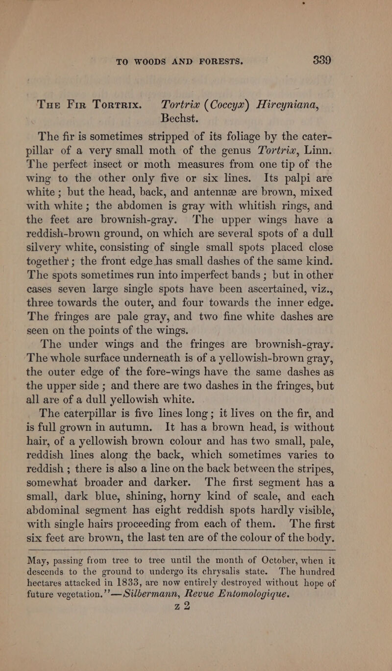 Tue Fir Tortrix. Tortrixv (Coccyx) Hircyniana, Bechst. The fir is sometimes stripped of its foliage by the cater- pillar of a very small moth of the genus TYortriv, Linn. The perfect insect or moth measures from one tip of the wing to the other only five or six lines. Its palpi are white ; but the head, back, and antenne are brown, mixed with white ; the abdomen is gray with whitish rings, and the feet are brownish-gray. The upper wings have a reddish-brown ground, on which are several spots of a dull silvery white, consisting of single small spots placed close together ; the front edge has small dashes of the same kind. The spots sometimes run into imperfect bands ; but in other cases seven large single spots have been ascertained, viz., three towards the outer, and four towards the inner edge. The fringes are pale gray, and two fine white dashes are seen on the points of the wings. The under wings and the fringes are brownish-gray. The whole surface underneath is of a yellowish-brown gray, the outer edge of the fore-wings have the same dashes as the upper side ; and there are two dashes in the fringes, but all are of a dull yellowish white. The caterpillar is five lines long; it lives on the fir, and is full grown in autumn. It has a brown head, is without hair, of a yellowish brown colour and has two small, pale, reddish lines along the back, which sometimes varies to reddish ; there is also a line on the back between the stripes, somewhat broader and darker. The first segment has a small, dark blue, shining, horny kind of scale, and each abdominal segment has eight reddish spots hardly visible, with single hairs proceeding from each of them. The first six feet are brown, the last ten are of the colour of the body. May, passing from tree to tree until the month of October, when it descends to the ground to undergo its chrysalis state. The hundred hectares attacked in 1833, are now entirely destroyed without hope of future vegetation.’’—Silbermann, Revue Entomologique. Zz 2