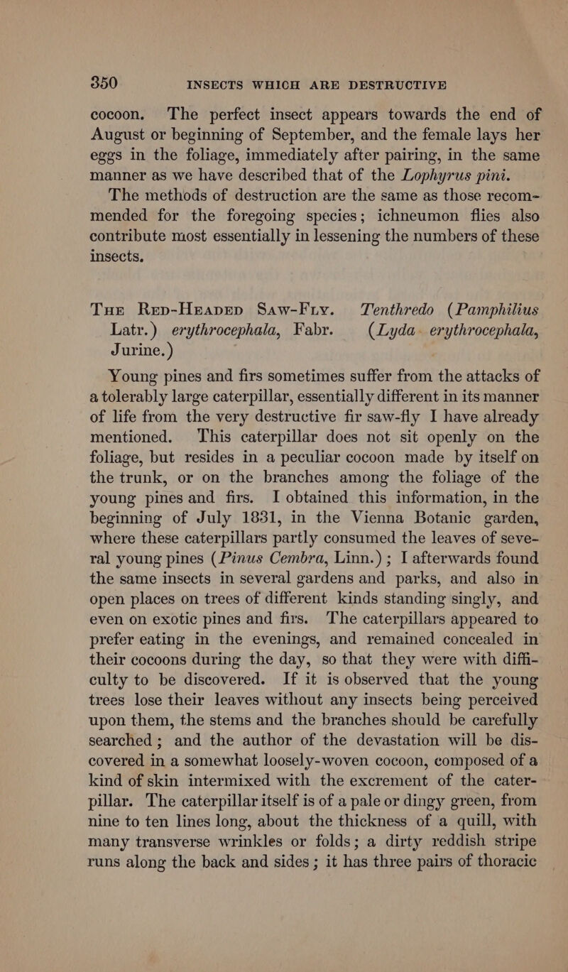 cocoon. The perfect insect appears towards the end of August or beginning of September, and the female lays her eggs in the foliage, immediately after pairing, in the same manner as we have described that of the Lophyrus pini. The methods of destruction are the same as those recom- mended for the foregoing species; ichneumon flies also contribute most essentially in lessening the numbers of these insects. Tue Rep-Heapep Saw-Fry. Tenthredo (Pamphilius Latr.) erythrocephala, Fabr. (Lyda. erythrocephala, Jurine. ) Young pines and firs sometimes suffer from the attacks of a tolerably large caterpillar, essentially different in its manner of life from the very destructive fir saw-fly I have already mentioned. This caterpillar does not sit openly on the foliage, but resides in a peculiar cocoon made by itself on the trunk, or on the branches among the foliage of the young pines and firs. I obtained this information, in the beginning of July 1831, in the Vienna Botanic garden, where these caterpillars partly consumed the leaves of seve- ral young pines (Pinus Cembra, Linn.) ; I afterwards found the same insects in several gardens and parks, and also in open places on trees of different kinds standing singly, and even on exotic pines and firs. The caterpillars appeared to prefer eating in the evenings, and remained concealed in their cocoons during the day, so that they were with diffi- culty to be discovered. If it is observed that the young trees lose their leaves without any insects being perceived upon them, the stems and the branches should be carefully searched ; and the author of the devastation will be dis- covered in a somewhat loosely-woven cocoon, composed of a kind of skin intermixed with the excrement of the cater- pillar. The caterpillar itself is of a pale or dingy green, from nine to ten lines long, about the thickness of a quill, with many transverse wrinkles or folds; a dirty reddish stripe runs along the back and sides ; it has three pairs of thoracic