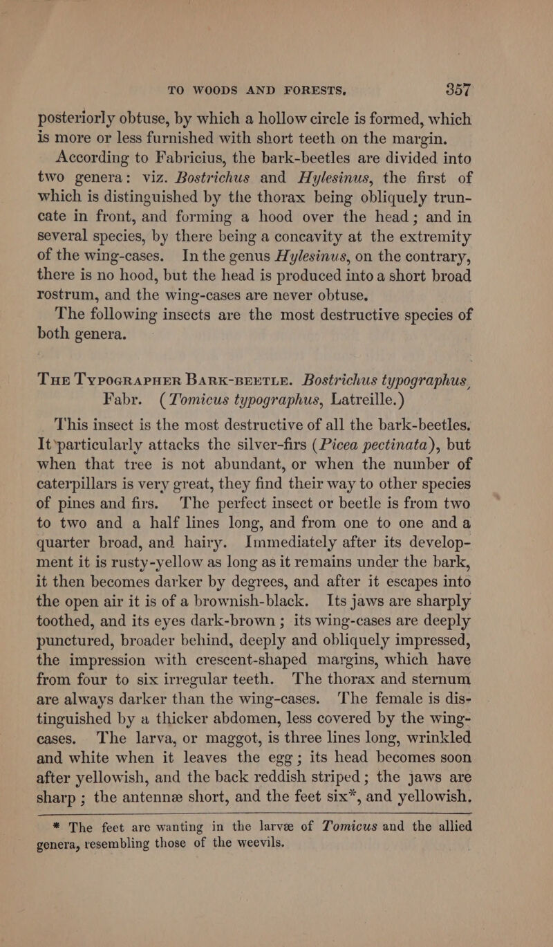 posteriorly obtuse, by which a hollow circle is formed, which is more or less furnished with short teeth on the margin. According to Fabricius, the bark-beetles are divided into two genera: viz. Bostrichus and Hylesinus, the first of which is distinguished by the thorax being obliquely trun- cate in front, and forming a hood over the head; and in several species, by there being a concavity at the extremity of the wing-cases. Inthe genus Hylesinus, on the contrary, there is no hood, but the head is produced into a short broad rostrum, and the wing-cases are never obtuse. The following insects are the most destructive species of both genera. Tue TypocRaAPHER Bark-BEETLE. Bostrichus typographus, Fabr. (Tomicus typographus, Latreille. ) This insect is the most destructive of all the bark-beetles. It*particularly attacks the silver-firs (Picea pectinata), but when that tree is not abundant, or when the number of caterpillars is very great, they find their way to other species of pines and firs. The perfect insect or beetle is from two to two and a half lines long, and from one to one and a quarter broad, and hairy. Immediately after its develop- ment it is rusty-yellow as long as it remains under the bark, it then becomes darker by degrees, and after it escapes into the open air it is of a brownish-black. Its jaws are sharply toothed, and its eyes dark-brown ; its wing-cases are deeply punctured, broader behind, deeply and obliquely impressed, the impression with crescent-shaped margins, which have from four to six irregular teeth. The thorax and sternum are always darker than the wing-cases. The female is dis- tinguished by a thicker abdomen, less covered by the wing- cases. The larva, or maggot, is three lines long, wrinkled and white when it leaves the egg; its head becomes soon after yellowish, and the back reddish striped ; the Jaws are sharp ; the antenne short, and the feet six*, and yellowish. * The feet arc wanting in the larvee of Tomicus and the allied genera, resembling those of the weevils.