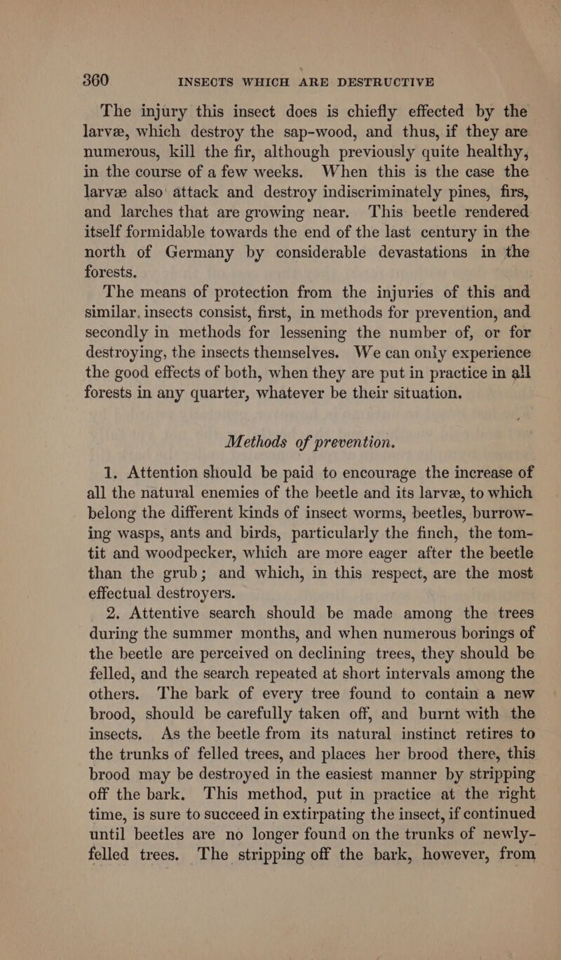 The injury this insect does is chiefly effected by the larvee, which destroy the sap-wood, and thus, if they are numerous, kill the fir, although previously quite healthy, in the course of a few weeks. When this is the case the larvee also’ attack and destroy indiscriminately pines, firs, and larches that are growing near. This beetle rendered itself formidable towards the end of the last century in the north of Germany by considerable devastations in the forests. The means of protection from the injuries of this and similar, insects consist, first, in methods for prevention, and secondly in methods for lessening the number of, or for destroying, the insects themselves. We can only experience the good effects of both, when they are put in practice in all forests in any quarter, whatever be their situation. Methods of prevention. 1. Attention should be paid to encourage the increase of all the natural enemies of the beetle and its larve, to which belong the different kinds of insect worms, beetles, burrow- ing wasps, ants and birds, particularly the finch, the tom- tit and woodpecker, which are more eager after the beetle than the grub; and which, in this respect, are the most effectual destroyers. 2. Attentive search should be made among the trees during the summer months, and when numerous borings of the beetle are perceived on declining trees, they should be felled, and the search repeated at short intervals among the others. The bark of every tree found to contain a new brood, should be carefully taken off, and burnt with the insects. As the beetle from its natural instinct retires to the trunks of felled trees, and places her brood there, this brood may be destroyed in the easiest manner by stripping off the bark. This method, put in practice at the right time, is sure to succeed in extirpating the insect, if continued until beetles are no longer found on the trunks of newly- felled trees. The stripping off the bark, however, from