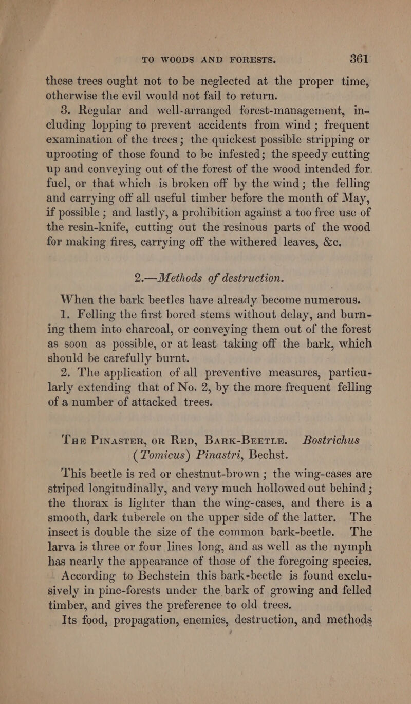 these trees ought not to be neglected at the proper time, otherwise the evil would not fail to return. 3. Regular and well-arranged forest-management, in- cluding lopping to prevent accidents from wind ; frequent examination of the trees; the quickest possible stripping or uprooting of those found to be infested; the speedy cutting up and conveying out of the forest of the wood intended for fuel, or that which is broken off by the wind; the felling and carrying off all useful timber before the month of May, if possible ; and lastly, a prohibition against a too free use of the resin-knife, cutting out the resinous parts of the wood for making fires, carrying off the withered leaves, &amp;c. 2.—Methods of destruction. When the bark beetles have already become numerous. 1. Felling the first bored stems without delay, and burn- ing them into charcoal, or conveying them out of the forest as soon as possible, or at least taking off the bark, which should be carefully burnt. 2. The application of all preventive measures, particu- larly extending that of No. 2, by the more frequent felling of a number of attacked trees. Tue Prinaster, on Rep, Barx-Beetie. Bostrichus (Tomicus) Pinastri, Bechst. This beetle is red or chestnut-brown ; the wing-cases are striped longitudinally, and very much hollowed out behind ; the thorax is lighter than the wing-cases, and there is a smooth, dark tubercle on the upper side of the latter. The insect is double the size of the common bark-beetle. The larva is three or four lines long, and as well as the nymph has nearly the appearance of those of the foregoing species. According to Bechstein this bark-beetle is found exclu- sively in pine-forests under the bark of growing and felled timber, and gives the preference to old trees. Its food, propagation, enemies, destruction, and methods