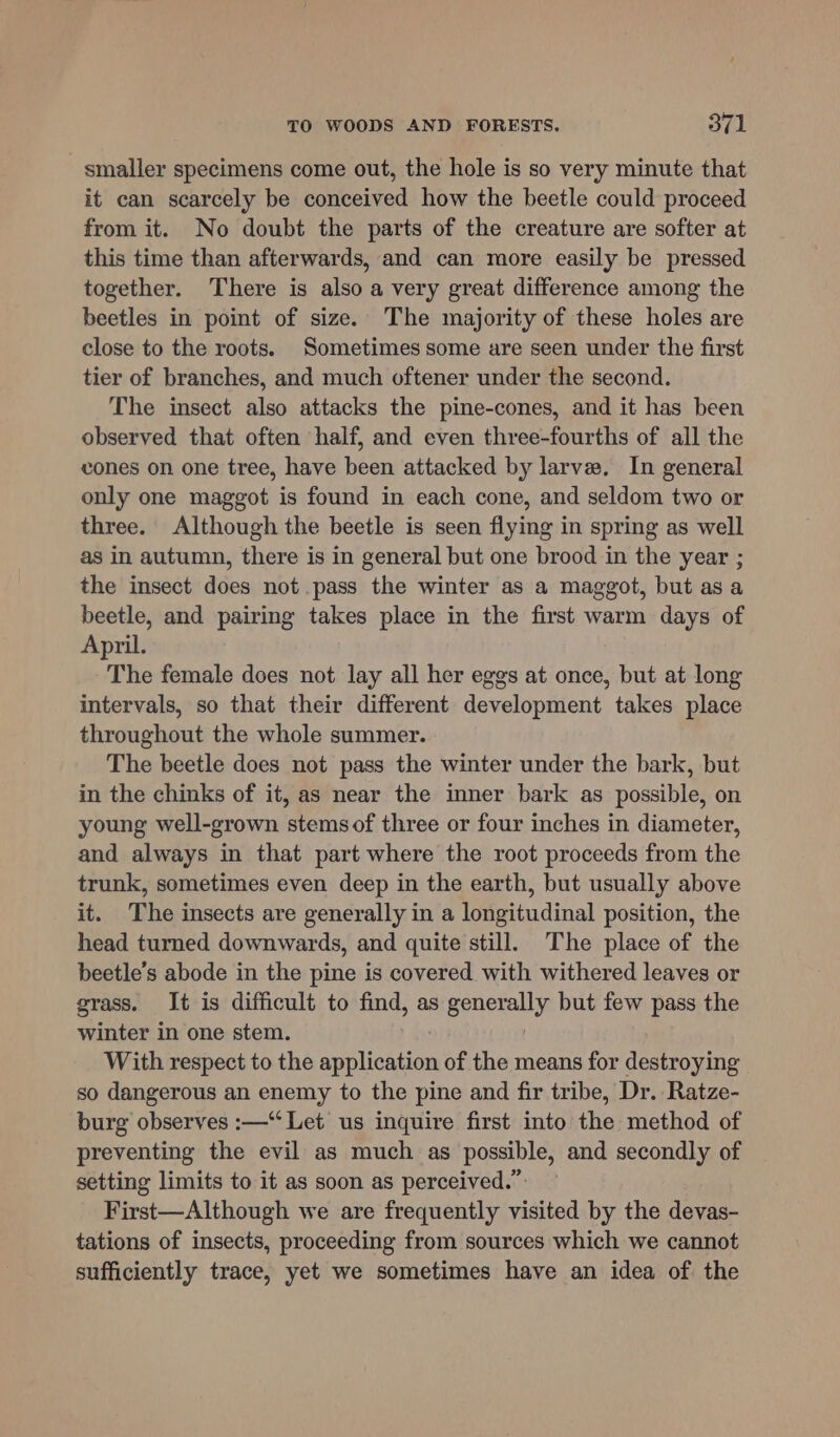 smaller specimens come out, the hole is so very minute that it can scarcely be conceived how the beetle could proceed from it. No doubt the parts of the creature are softer at this time than afterwards, and can more easily be pressed together. There is also a very great difference among the beetles in point of size. The majority of these holes are close to the roots. Sometimes some are seen under the first tier of branches, and much oftener under the second. The insect also attacks the pine-cones, and it has been observed that often half, and even three-fourths of all the cones on one tree, have been attacked by larve. In general only one maggot is found in each cone, and seldom two or three. Although the beetle is seen flying in spring as well as in autumn, there is in general but one brood in the year ; the insect does not .pass the winter as a maggot, but asa beetle, and pairing takes place in the first warm days of April. The female does not lay all her eggs at once, but at long intervals, so that their different development takes place throughout the whole summer. The beetle does not pass the winter under the bark, but in the chinks of it, as near the inner bark as possible, on young well-grown stems of three or four inches in diameter, and always in that part where the root proceeds from the trunk, sometimes even deep in the earth, but usually above it. The insects are generally in a longitudinal position, the head turned downwards, and quite still. The place of the beetle’s abode in the pine is covered with withered leaves or grass. It is difficult to find, as ppierally but few pass the winter in one stem. With respect to the application of the means for destroying so dangerous an enemy to the pine and fir tribe, Dr. Ratze- burg observes :—“ Let us inquire first into the method of preventing the evil as much as possible, and secondly of setting limits to it as soon as perceived.” First—Although we are frequently visited by the devas- tations of insects, proceeding from sources which we cannot sufficiently trace, yet we sometimes have an idea of the