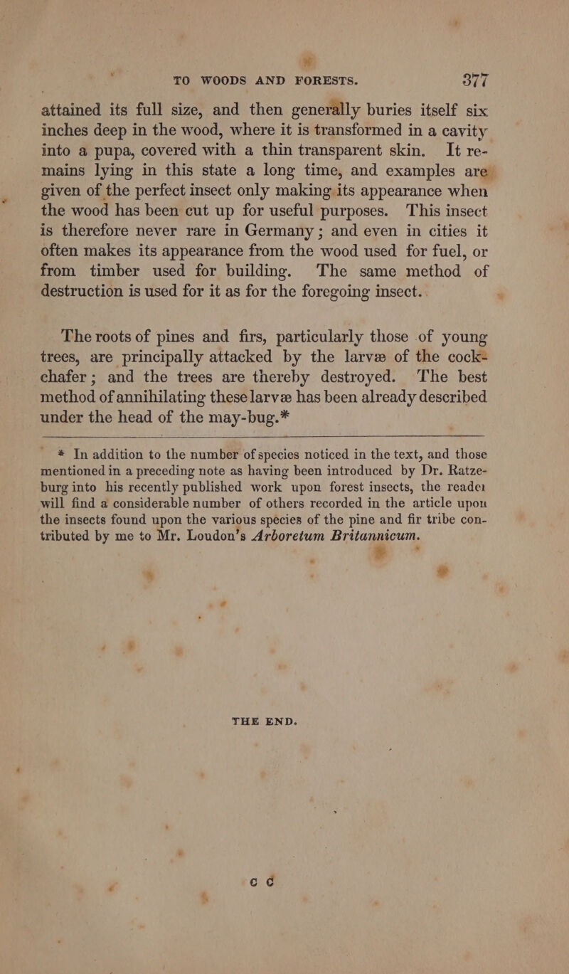 ¥ TO WOODS AND FORESTS. 377 attained its full size, and then generally buries itself six inches deep in the wood, where it is transformed in a cavity into a pupa, covered with a thin transparent skin. It re- mains lying in this state a long time, and examples are given of the perfect insect only making.its appearance when the wood has been cut up for useful purposes. This insect is therefore never rare in Germany ; and even in cities it often makes its appearance from the wood used for fuel, or from timber used for building. The same method of destruction is used for it as for the foregoing insect. The roots of pines and firs, particularly those of young trees, are principally attacked by the larve of the cock- chafer ; and the trees are thereby destroyed. The best method of annihilating these larve has been already described under the head of the may-bug.* * In addition to the number of species noticed in the text, and those mentioned in a preceding note as having been introduced by Dr. Ratze- burg into his recently published work upon forest insects, the readei will find a considerable number of others recorded in the article upon the insects found upon the various species of the pine and fir tribe con- tributed by me to Mr. Loudon’s Arboretum Britannicum. % wt THE END.