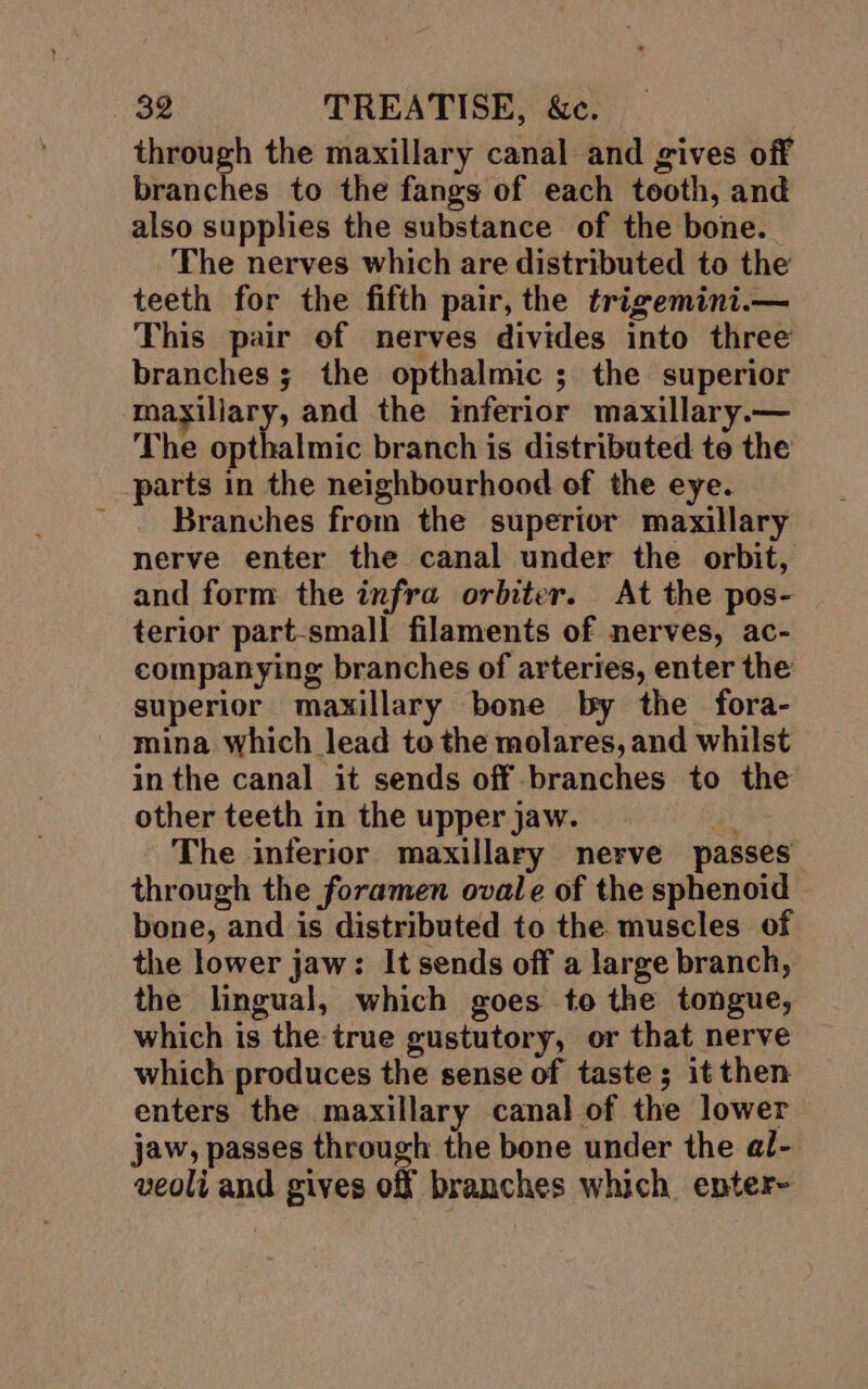 through the maxillary canal and gives off branches to the fangs of each tooth, and also supplies the substance of the bone. The nerves which are distributed to the teeth for the fifth pair, the trigemini.— This pair of nerves divides into three branches 5 the opthalmic ; the superior maxiliar , and the inferior maxillary.— The opthalmic branch is distributed te the parts in the neighbourhood of the eye. _ Branches from the superior maxillary nerve enter the canal under the orbit, and form the infra orbiter. At the pos- terior part-small filaments of nerves, ac- companying branches of arteries, enter the superior maxillary bone by the fora- mina which lead to the molares, and whilst in the canal it sends off branches to the other teeth in the upper jaw. Pay The inferior maxillary nerve passes through the foramen ovale of the sphenoid bone, and is distributed to the muscles of the lower jaw: It sends off a large branch, the lingual, which goes to the tongue, which is the true gustutory, or that nerve which produces the sense of taste; it then enters the maxillary canal of the lower jaw, passes through the bone under the al- veoli and gives off branches which enter-