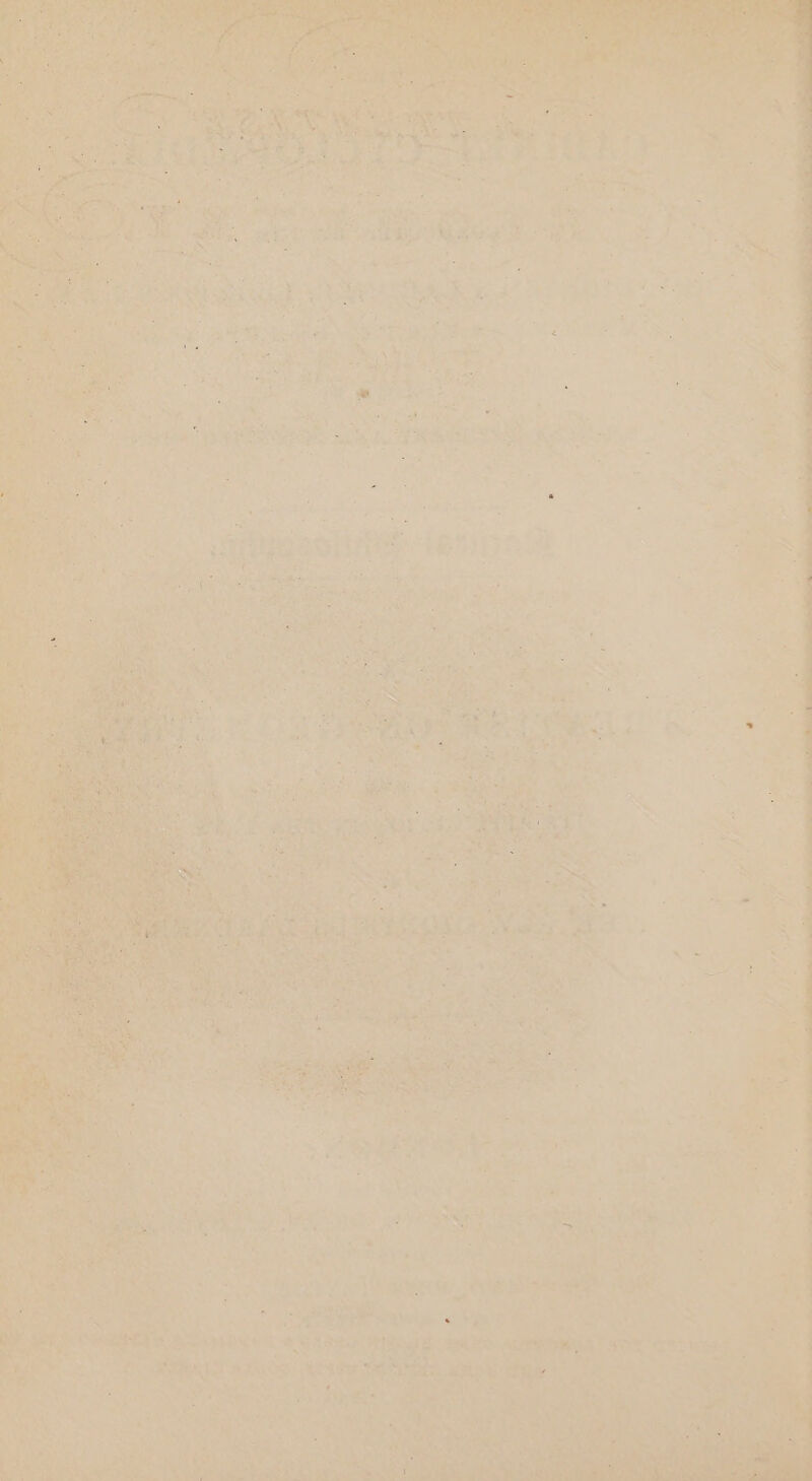 ea, 5 aS inst a * Ta Ly ire righ aes a aN Yi SS ere ae ied - SAT vias nga ae w 7 : oe ‘ y . ie