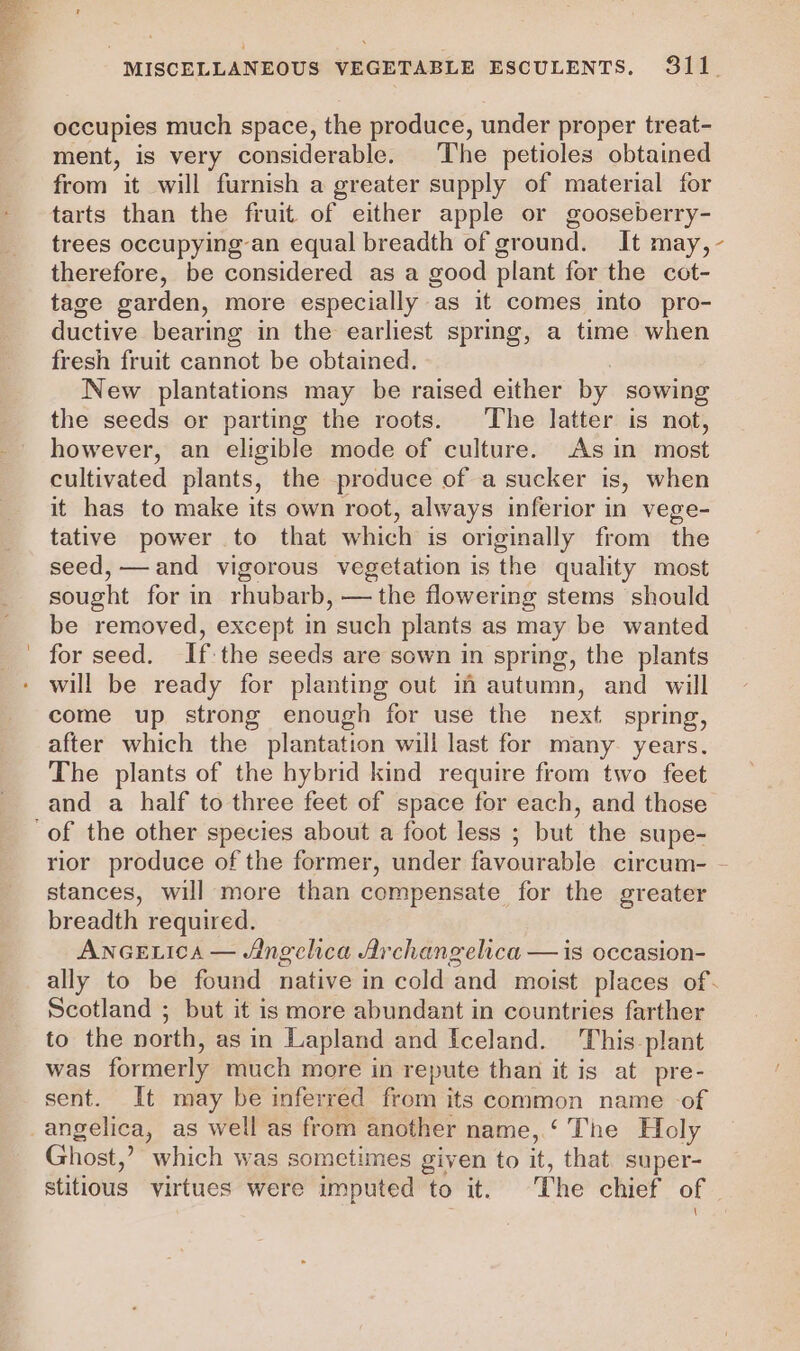 occupies much space, the produce, under proper treat- ment, is very considerable. The petioles obtained from it will furnish a greater supply of material for tarts than the fruit of either apple or gooseberry- trees occupying an equal breadth of ground. It may, - therefore, be considered as a good plant for the cot- tage garden, more especially as it comes into pro- ductive bearing in the earliest spring, a time when fresh fruit cannot be obtained. New plantations may be raised either by sowing the seeds or parting the roots. The latter is not, however, an eligible mode of culture. Asin most cultivated plants, the produce of a sucker is, when it has to make its own root, always inferior in vege- tative power to that which is originally from the seed, — and vigorous vegetation is the quality most sought for in rhubarb, —the flowering stems should be removed, except in such plants as may be wanted for seed. Ifthe seeds are sown in spring, the plants will be ready for planting out if autumn, and will come up strong enough for use the next spring, after which the plantation will last for many years. The plants of the hybrid kind require from two feet and a half to three feet of space for each, and those rior produce of the former, under favourable circum- - stances, will more than compensate for the greater breadth required. ANGELICA — Angchca Archangelica — is occasion- ally to be found native in cold and moist places of. Scotland ; but it is more abundant in countries farther to the north, as in Lapland and Iceland. This plant was formerly much more in repute than it is at pre- sent. It may be inferred from its common name -of Ghost,’ which was sometimes given to it, that. super- stitious virtues were imputed to it. ~The chief of —