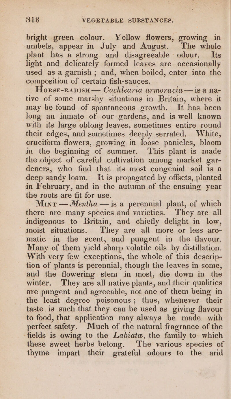 bright green colour. Yellow flowers, growing in -umbels, appear in July and August. The whole plant has a strong and disagreeable odour. Its light and delicately formed leaves are occasionally used as a garnish ; and, when boiled, enter into the composition of certain fish-sauces. Horss-rapisu — Cochlearia armoracia —is a na- tive of some marshy situations in Britain, where it may be found of spontaneous growth. It has been long an inmate of our gardens, and is well known with its large oblong leaves, sometimes entire round their edges, and sometimes deeply serrated. White, cruciform flowers, growing in loose panicles, bloom in the beginning of summer. This plant is made the object of careful cultivation among market gar- deners, who find that its most congenial soil is a deep sandy loam. It is propagated by offsets, planted in February, and in the autumn of the ensuing year the roots are fit for use. Mint — Mentha — is a perennial plant, of which there are many species and varieties. They are all indigenous to Britain, and chiefly delight in low, - moist situations. They are all more or less aro- matic in the scent, and pungent in the flavour. Many of them yield sharp volatile oils by distillation. With very few exceptions, the whole of this descrip- tion of plants is perennial, though the leaves in some, and the flowering stem in most, die down in the winter. They are all native plants, and their qualities are pungent and agreeable, not one of them being in the least degree poisonous ; thus, whenever their taste is such that they can be used as giving flavour to food, that application may always be made with perfect safety. Much of the natural fragrance of the fields is owing to the Labiate, the family to. which these sweet herbs belong. The various species of thyme impart their grateful odours to the arid