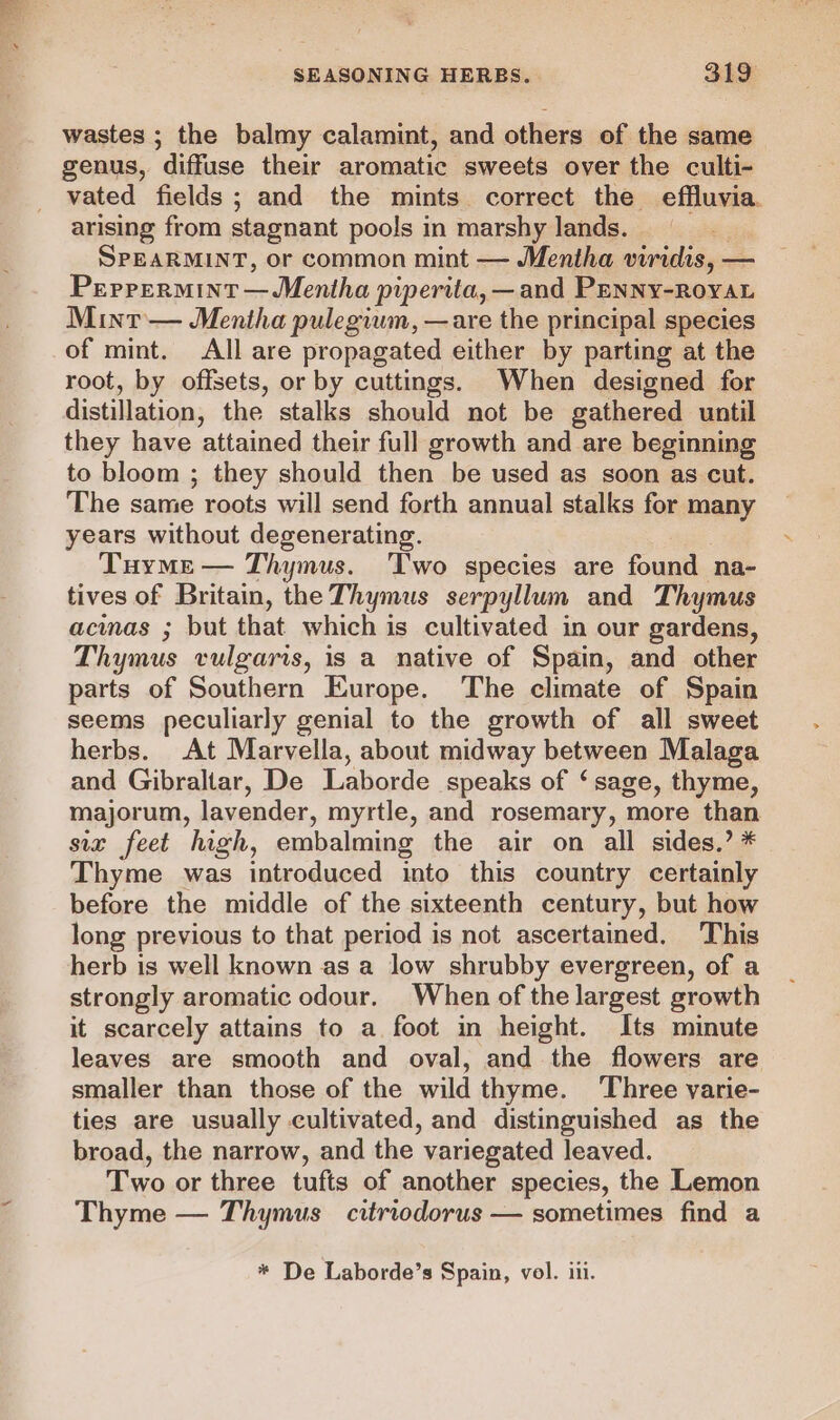 wastes ; the balmy calamint, and others of the same genus, diffuse their aromatic sweets over the culti- vated fields ; and the mints correct the effluvia. arising from stagnant pools in marshy lands. SPEARMINT, or common mint — Mentha viridis, — Peppermint—Mentha piperita, — and Prnny-RoyAL Mint — Mentha pulegiwm, —are the principal species of mint. All are propagated either by parting at the root, by offsets, or by cuttings. When designed for distillation, the stalks should not be gathered until they have attained their full growth and are beginning to bloom ; they should then be used as soon as cut. The same roots will send forth annual stalks for many years without degenerating. Tuyme — Thymus. Two species are found na- tives of Britain, the Thymus serpyllum and Thymus acinas ; but that which is cultivated in our gardens, Thymus vulgaris, is a native of Spain, and other parts of Southern Europe. The climate of Spain seems peculiarly genial to the growth of all sweet herbs. At Marvella, about midway between Malaga and Gibraltar, De Laborde speaks of ‘sage, thyme, majorum, lavender, myrtle, and rosemary, more than six feet high, embalming the air on all sides.’ * Thyme was introduced into this country certainly before the middle of the sixteenth century, but how long previous to that period is not ascertained. This herb is well known as a low shrubby evergreen, of a strongly aromatic odour. When of the largest growth it scarcely attains to a foot in height. Its minute leaves are smooth and oval, and the flowers are smaller than those of the wild thyme. Three varie- ties are usually cultivated, and distinguished as the broad, the narrow, and the variegated leaved. Two or three tufts of another species, the Lemon Thyme — Thymus _ citriodorus — sometimes find a * De Laborde’s Spain, vol. i.