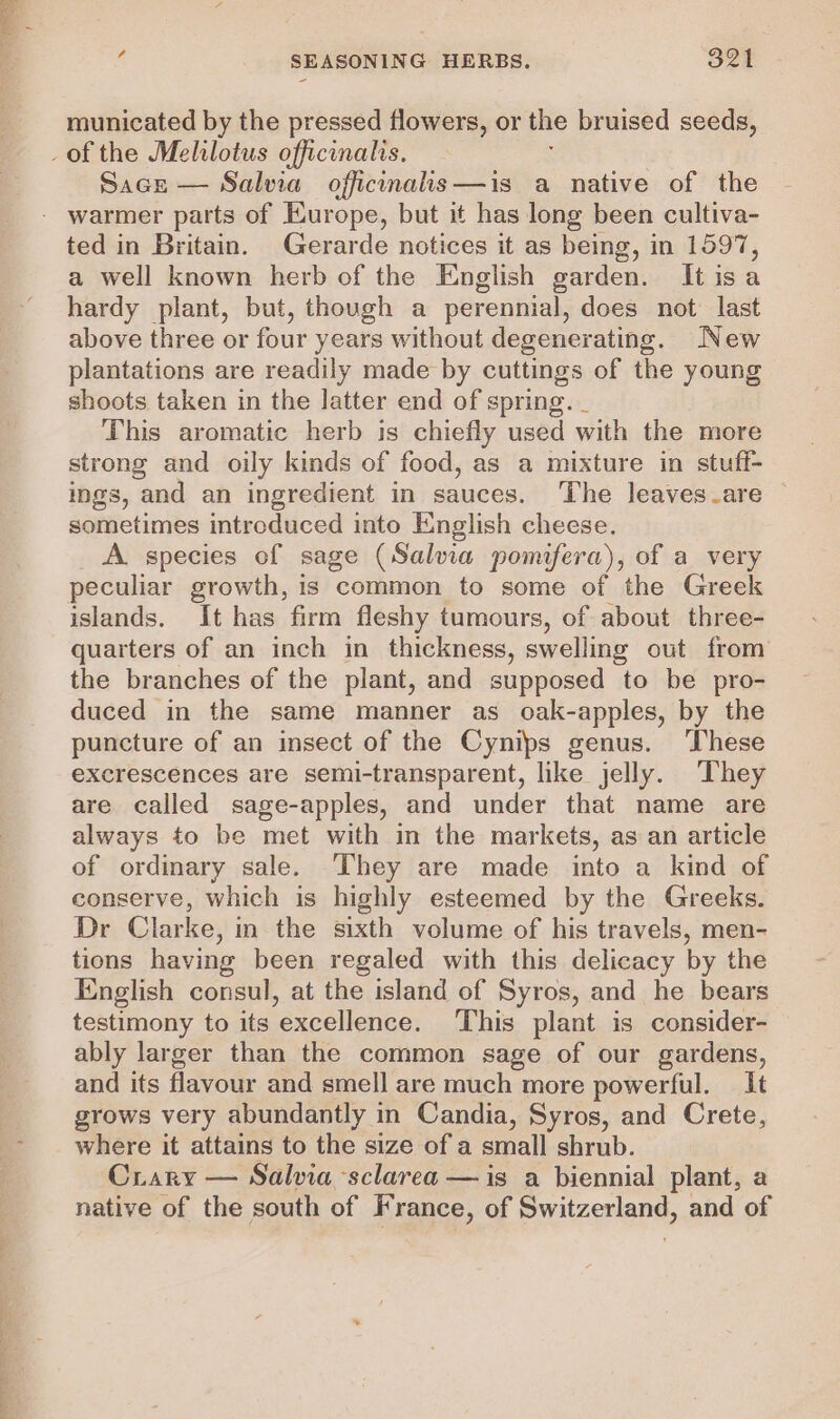 ae Nig el ae municated by the pressed flowers, or the bruised seeds, Sace — Salvia officmalis—is a native of the ted in Britain. Gerarde notices it as being, in 1597, a well known herb of the English garden. Itisa hardy plant, but, though a perennial, does not last above three or four years without degenerating. New plantations are readily made by cuttings of the young shoots taken in the latter end of spring. _ This aromatic herb is chiefly used with the more strong and oily kinds of food, as a mixture in stuff- ings, and an ingredient in sauces. The leaves are sometimes introduced into English cheese. A species of sage (Salvia pomifera), of a_ very peculiar growth, is common to some of the Greek islands. It has firm fleshy tumours, of about three- quarters of an inch in thickness, swelling out from the branches of the plant, and supposed to be pro- duced in the same manner as oak-apples, by the puncture of an insect of the Cynips genus. ‘These excrescences are semi-transparent, like jelly. They are called sage-apples, and under that name are always to be met with in the markets, as an article of ordinary sale. They are made into a kind of conserve, which is highly esteemed by the Greeks. Dr Clarke, m the sixth volume of his travels, men- tions having been regaled with this delicacy by the English consul, at the island of Syros, and he bears testimony to its excellence. This plant is consider- ably larger than the common sage of our gardens, and its flavour and smell are much more powerful. It grows very abundantly in Candia, Syros, and Crete, where it attains to the size of a small shrub. Crary — Salvia ‘sclarea — is a biennial plant, a native of the south of France, of Switzerland, and of