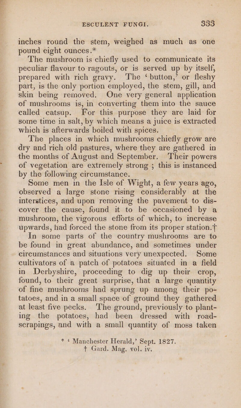 inches round the stem, weighed as much as one pound eight ounces.* The mushroom is chiefly used to communicate its peculiar flavour to-ragouts, or is served up by itself, prepared with rich gravy. The ‘button,’ or fleshy part, is the only portion employed, the stem, gill, and skin being removed. One very general application of mushrooms is, in converting them into the sauce called catsup. For this purpose they are laid for some time in salt, by which means a juice is extracted which is afterwards boiled with spices. The places in which mushrooms chiefly grow are dry and rich old pastures, where they are gathered in the months of August and September. Their powers of vegetation are extremely strong ; this is instanced by the following circumstance. Some men in the Isle of Wight, a few years ago, observed a large stone rising considerably at the interstices, and upon removing the pavement to dis- cover the cause, found it to be occasioned by a mushroom, the vigorous efforts of which, to increase upwards, had forced the stone from its proper station. In some parts of the country mushrooms are to be found in great abundance, and sometimes under circumstances and situations very unexpected. Some cultivators of a patch of potatoes situated in a field in Derbyshire, proceeding to dig up their crop, found, to their great surprise, that a large quantity of fine mushrooms had sprung up among their po- tatoes, and in a small space of ground they gathered at least five pecks. The ground, previously to plant- ing the potatoes, had been dressed with road- scrapings, and with a small quantity of moss taken * ¢ Manchester Herald,’ Sept. 1827. t+ Gard. Mag. vol. iv.