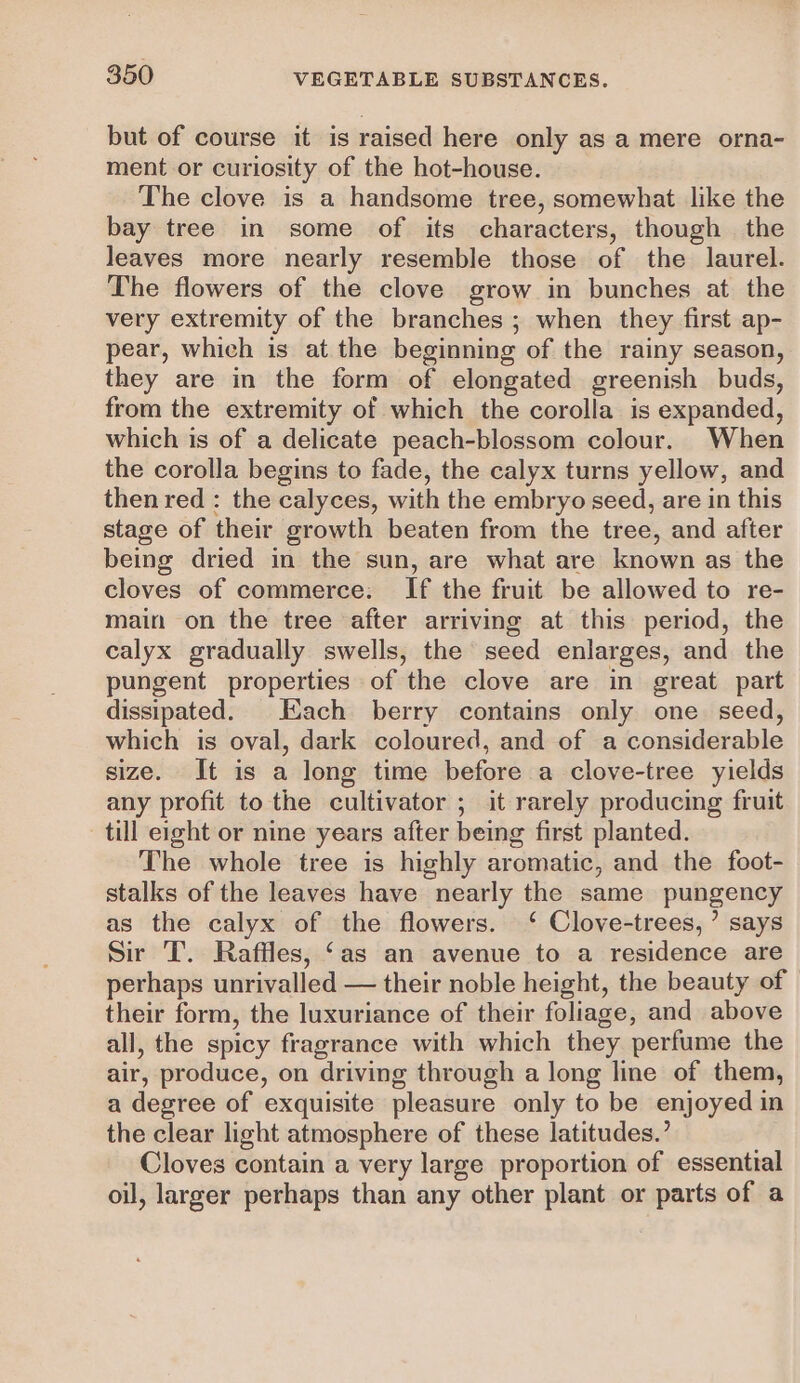 but of course it is raised here only as a mere orna- ment or curiosity of the hot-house. The clove is a handsome tree, somewhat like the bay tree in some of its characters, though the leaves more nearly resemble those of the laurel. The flowers of the clove grow in bunches at the very extremity of the branches ; when they first ap- pear, which is at the beginning of the rainy season, they are in the form of elongated greenish buds, from the extremity of which the corolla is expanded, which is of a delicate peach-blossom colour. When the corolla begins to fade, the calyx turns yellow, and then red : the calyces, with the embryo seed, are in this stage of their growth beaten from the tree, and after being dried in the sun, are what are known as the cloves of commerce. If the fruit be allowed to re- main on the tree after arriving at this period, the calyx gradually swells, the seed enlarges, and the pungent properties of the clove are in great part dissipated. Each berry contains only one seed, which is oval, dark coloured, and of a considerable size. It is a long time before a clove-tree yields any profit to the cultivator ; it rarely producing fruit till eight or nine years after being first planted. The whole tree is highly aromatic, and the foot- stalks of the leaves have nearly the same pungency as the calyx of the flowers. ‘ Clove-trees, ’ says Sir T. Raffles, ‘as an avenue to a residence are perhaps unrivalled — their noble height, the beauty of - their form, the luxuriance of their foliage, and above all, the spicy fragrance with which they perfume the air, produce, on driving through a long line of them, a degree of exquisite pleasure only to be enjoyed in the clear light atmosphere of these latitudes.’ Cloves contain a very large proportion of essential oil, larger perhaps than any other plant or parts of a