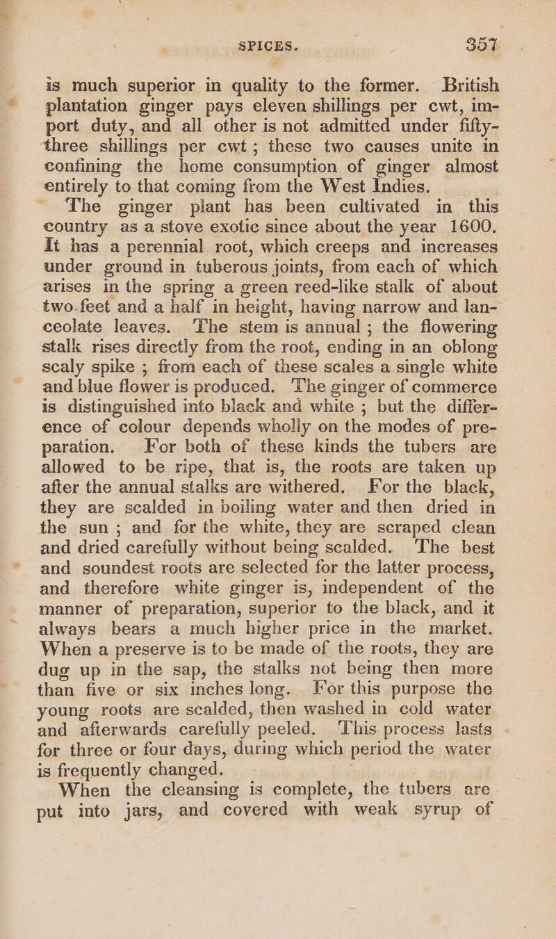 is much superior in quality to the former. British plantation ginger pays eleven shillings per cwt, im- port duty, and all other is not admitted under fifty- three shillings per cwt; these two causes unite in confining the home consumption of ginger almost entirely to that coming from the West Indies. | ~ The ginger plant has been cultivated in_ this country as a stove exotic since about the year 1600. it has a perennial root, which creeps and increases under ground in tuberous joints, from each of which arises in the spring a green reed-like stalk of about two.feet and a half in height, having narrow and lan- ceolate leaves. The stem is annual ; the flowering stalk rises directly from the root, ending in an oblong scaly spike ; from each of these scales a single white and blue flower is produced. The ginger of commerce is distinguished into black and white ; but the differ- ence of colour depends wholly on the modes of pre- paration. For both of these kinds the tubers are allowed to be ripe, that is, the roots are taken up after the annual stalks are withered. For the black, they are scalded in boiling water and then dried in the sun ; and for the white, they are scraped clean and dried carefully without being scalded. The best and soundest roots are selected for the latter process, and therefore white ginger is, independent of the manner of preparation, superior to the black, and it always bears a much higher price in the market. When a preserve is to be made of the roots, they are dug up in the sap, the stalks not being then more than five or six inches long. For this purpose the young roots are scalded, then washed in cold water and afterwards carefully peeled. This process lasts for three or four days, during which period the water is frequently changed. | When the cleansing is complete, the tubers are put into jars, and covered with weak syrup of