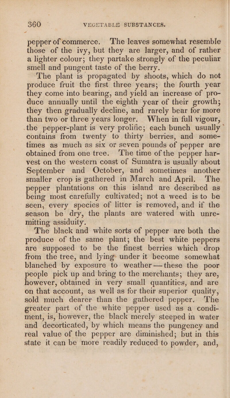 pepper of commerce. The leaves somewhat resemble those of the ivy, but they are larger, and of rather a lighter colour; they partake strongly of the peculiar smell and pungent taste of the berry. The plant is propagated by shoots, which do not produce fruit the first three years; the fourth year they come into bearing, and yield an increase of pro- duce annually until the eighth year of their growth; they then gradually decline, and rarely bear for more than two or three years longer. When in full vigour, the pepper-plant is very prolific; each bunch usually contains from twenty to thirty berries, and some- times as much as six or seven pounds of pepper are obtained from one tree. The time of the pepper har- vest on the western coast of Sumatra is usually about September and October, and sometimes another smaller crop is gathered in March and April. The pepper plantations on this island are described as being most carefully cultivated; not a weed is to be seen, every species of litter is removed, and if the season be dry, the plants are watered with unre- mitting assiduity. The black and white sorts of pepper are both the produce of the same plant; the best white peppers are supposed to be the finest berries which drop from the tree, and lying under it become somewhat blanched by exposure to weather—these the poor people pick up and bring to the merchants; they are, however, obtained in very small quantities, and are on that account, as well as for their superior quality, sold much dearer than the gathered pepper. The greater part of the white pepper used as a condi- ment, is, however, the black merely steeped in water and decorticated, by which means the pungency and real value of the pepper are. diminished; but in this state it can be more readily reduced to powder, and,