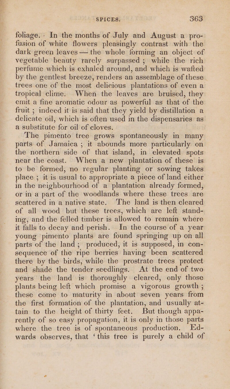 foliage. - In the months of July and August a pro- fusion of white flowers pleasingly contrast with the dark green leaves — the whole forming an object of vegetable beauty rarely surpassed ; while the rich perfume which is exhaled around, and which is wafted by the gentlest breeze, renders an assemblage of these _ trees one of the most delicious plantations of even a tropical clime. When the leaves are bruised, they emit a fine aromatic odour as powerful as that of the fruit ; indeed it is said that they yield by distillation a delicate oil, which is often used in the dispensaries as a substitute for oil of cloves. The pimento tree grows spontaneously in many parts of Jamaica; it abounds more particularly on the northern side of that island, in elevated spots near the coast. When a new plantation of these is to be formed, no regular planting or sowing takes place ; it is usual to appropriate a piece of land either in the neighbourhood of a plantation already formed, or in a part of the woodlands where these trees are scattered in a native state. ‘The land is then cleared of all wood but these trees, which are left stand- ing, and the felled timber is allowed to remain where it falls to decay and perish. In the course of a year young pimento plants are found springing up on all parts of the land; produced, it is supposed, in con- sequence of the ripe berries having been scattered there by the birds, while the prostrate trees protect and shade the tender seedlings. At the end of two years the land is thoroughly cleared, only those plants being left which promise a vigorous growth ; these come to maturity in about seven years from the first formation of the plantation, and usually at- tain to the height of thirty feet. But though appa- rently of so easy propagation, it is only in those parts where the tree is of spontaneous production. Ed- wards observes, that ‘this tree is purely a child of