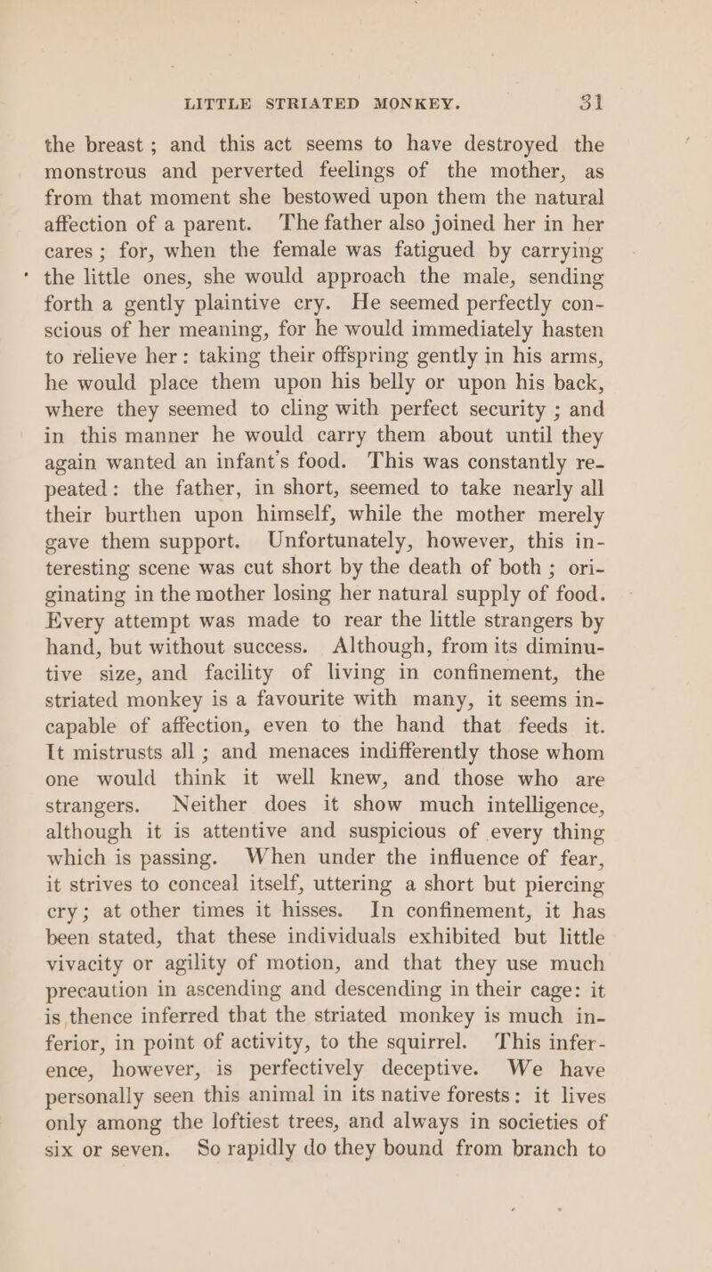 LITTLE STRIATED MONKEY. 3! the breast ; and this act seems to have destroyed the monstrous and perverted feelings of the mother, as from that moment she bestowed upon them the natural affection of a parent. The father also joined her in her cares ; for, when the female was fatigued by carrying the little ones, she would approach the male, sending forth a gently plaintive cry. He seemed perfectly con- scious of her meaning, for he would immediately hasten to relieve her: taking their offspring gently in his arms, he would place them upon his belly or upon his back, where they seemed to cling with perfect security ; and in this manner he would carry them about until they again wanted an infant's food. This was constantly re- peated: the father, in short, seemed to take nearly all their burthen upon himself, while the mother merely gave them support. Unfortunately, however, this in- teresting scene was cut short by the death of both ; ori- ginating in the mother losing her natural supply of food. Every attempt was made to rear the little strangers by hand, but without success. Although, from its diminu- tive size, and facility of living in confinement, the striated monkey is a favourite with many, it seems in- capable of affection, even to the hand that feeds it. It mistrusts all ; and menaces indifferently those whom one would think it well knew, and those who are strangers. Neither does it show much intelligence, although it is attentive and suspicious of every thing which is passing. When under the influence of fear, it strives to conceal itself, uttering a short but piercing cry; at other times it hisses. In confinement, it has been stated, that these individuals exhibited but little vivacity or agility of motion, and that they use much precaution in ascending and descending in their cage: it is thence inferred that the striated monkey is much in- ferior, in point of activity, to the squirrel. This infer- ence, however, is perfectively deceptive. We have personally seen this animal in its native forests: it lives only among the loftiest trees, and always in societies of six or seven. So rapidly do they bound from branch to