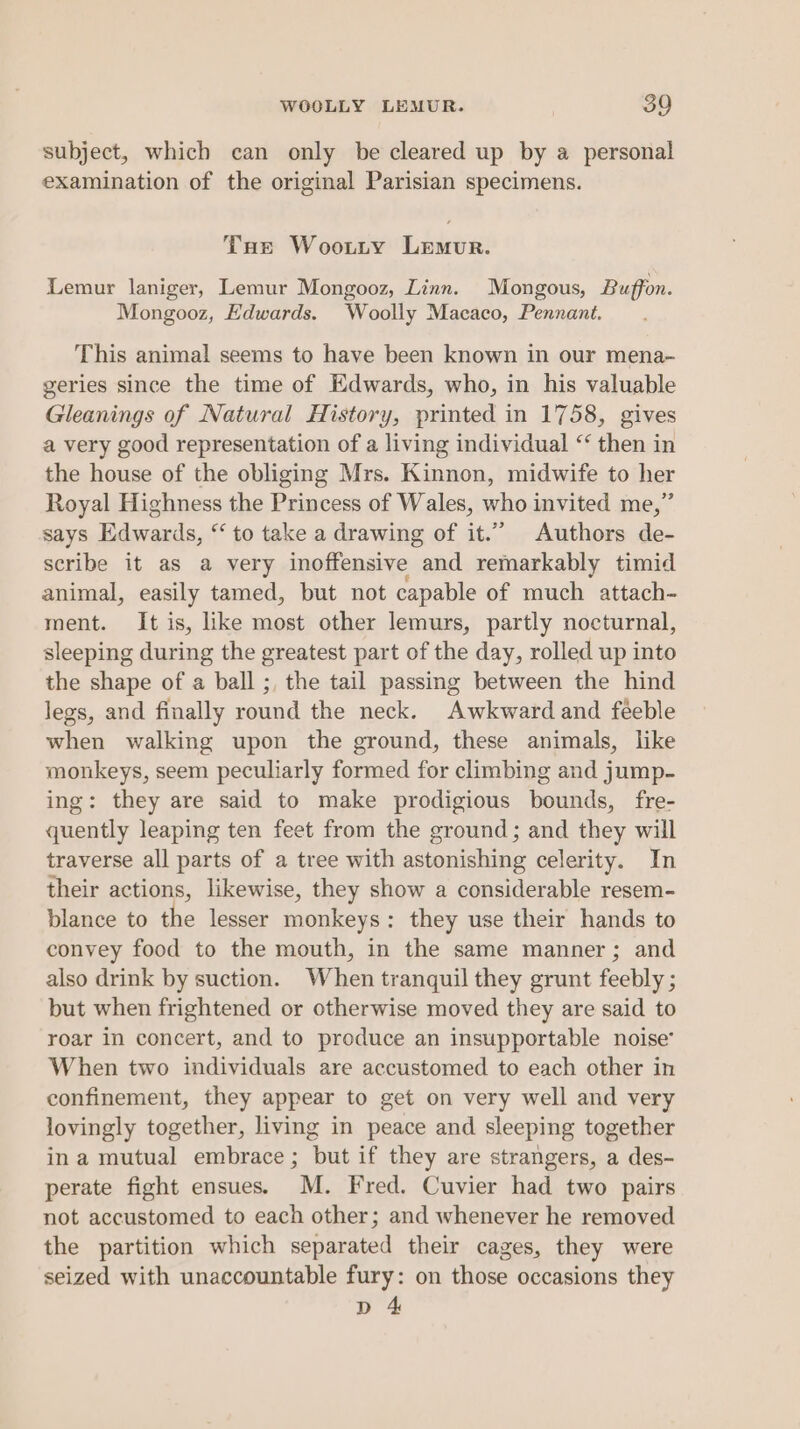 subject, which can only be cleared up by a personal examination of the original Parisian specimens. Tue Woouty Lemur. Lemur laniger, Lemur Mongooz, Linn. Mongous, Buffon. Mongooz, Edwards. Woolly Macaco, Pennant. This animal seems to have been known in our mena- geries since the time of Edwards, who, in his valuable Gleanings of Natural History, printed in 1758, gives a very good representation of a living individual ‘‘ then in the house of the obliging Mrs. Kinnon, midwife to her Royal Highness the Princess of Wales, who invited me,” says Edwards, “‘ to take a drawing of it.” Authors de- scribe it as a very inoffensive and remarkably timid animal, easily tamed, but not capable of much attach- ment. It is, like most other lemurs, partly nocturnal, sleeping during the greatest part of the day, rolled up into the shape of a ball ;, the tail passing between the hind legs, and finally round the neck. Awkward and feeble when walking upon the ground, these animals, like monkeys, seem peculiarly formed for climbing and jump- ing: they are said to make prodigious bounds, fre- quently leaping ten feet from the ground; and they will traverse all parts of a tree with astonishing celerity. In their actions, likewise, they show a considerable resem- blance to the lesser monkeys : they use their hands to convey food to the mouth, in the same manner; and also drink by suction. When tranquil they grunt feebly ; but when frightened or otherwise moved they are said to roar in concert, and to produce an insupportable noise’ When two individuals are accustomed to each other in confinement, they appear to get on very well and very lovingly together, living in peace and sleeping together ina mutual embrace; but if they are strangers, a des- perate fight ensues. M. Fred. Cuvier had two pairs not accustomed to each other; and whenever he removed the partition which separated their cages, they were seized with unaccountable fury: on those occasions they D 4