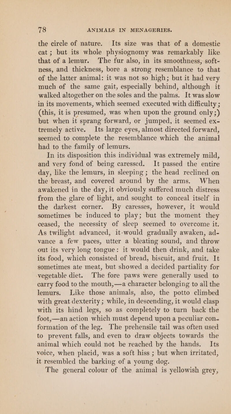 the circle of nature. Its size was that of a domestic cat ; but its whole physiognomy was remarkably like that of alemur. The fur also, in its smoothness, soft- ness, and thickness, bore a strong resemblance to that of the latter animal: it was not so high; but it had very much of the same gait, especially behind, although it walked altogether on the soles and the palms. It was slow in its movements, which seemed executed with difficulty ; (this, it is presumed, was when upon the ground only;) but when it sprang forward, or jumped, it seemed ex- tremely active. Its large eyes, almost directed forward, seemed to complete the resemblance which the animal had to the family of lemurs. In its disposition this individual was extremely mild, and very fond of being caressed. It passed the entire day, like the lemurs, in sleeping ; the head reclined on the breast, and covered around by the arms. When awakened in the day, it obviously suffered much distress from the glare of light, and sought to conceal itself in the darkest corner. By caresses, however, it would sometimes be induced to play; but the moment they ceased, the necessity of sleep seemed to overcome it. As twilight advanced, it-would gradually awaken, ad- vance a few paces, utter a bleating sound, and throw out its very long tongue: it would then drink, and take its food, which consisted of bread, biscuit, and fruit. It sometimes ate meat, but showed a decided partiality for vegetable diet. The fore paws were generally used to carry food to the mouth,—a character belonging to all the lemurs. Like those animals, also, the potto climbed with great dexterity ; while, in descending, it would clasp with its hind legs, so as completely to turn back the foot,—an action which must depend upon a peculiar con- formation of the leg. The prehensile tail was often used to prevent falls, and even to draw objects towards the animal which could not be reached by the hands. Its voice, when placid, was a soft hiss ; but when irritated, it resembled the barking of a young dog. The general colour of the animal is yellowish grey,