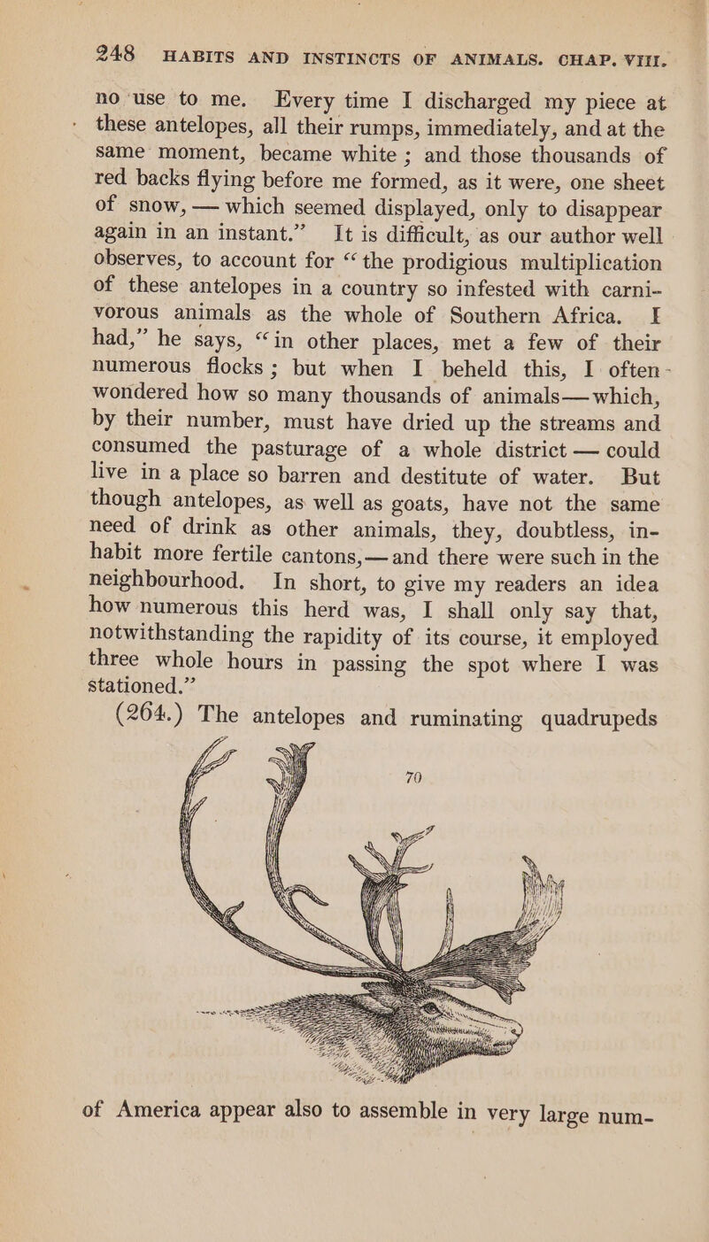 no ‘use to me. Every time I discharged my piece at these antelopes, all their ramps, immediately, and at the same moment, became white ; and those thousands of red backs flying before me formed, as it were, one sheet of snow, — which seemed displayed, only to disappear again in an instant.” It is difficult, as our author well observes, to account for “the prodigious multiplication of these antelopes in a country so infested with carni- vorous animals as the whole of Southern Africa. I had,” he says, “in other places, met a few of their numerous flocks; but when I beheld this, I often- wondered how so many thousands of animals— which, by their number, must have dried up the streams and consumed the pasturage of a whole district — could live in a place so barren and destitute of water. But though antelopes, as well as goats, have not the same need of drink as other animals, they, doubtless, in- habit more fertile cantons,—and there were such in the neighbourhood. In short, to give my readers an idea how numerous this herd was, I shall only say that, notwithstanding the rapidity of its course, it employed three whole hours in passing the spot where I was stationed.”’ (204.) The antelopes and ruminating quadrupeds of America appear also to assemble in very large num-