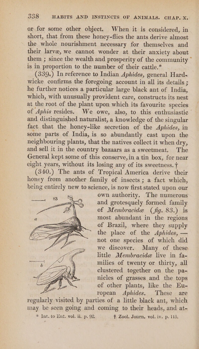 or for some other object. When it is considered, in short, that from these honey-flies the ants derive almost the whole nourishment necessary for themselves and their larve, we cannot wonder at their anxiety about them ; since the wealth and prosperity of the ccnp E is In proportion to the number of their cattle.* (339.) In reference to Indian Aphides, general Hard~ wicke confirms the foregoing account in all its details ; he further notices a particular large black ant of India, which, with unusually provident care, constructs its nest at the root of the plant upon which its favourite species of Aphis resides. We owe, also, to this enthusiastic and distinguished naturalist, a knowledge of the singular fact that the honey-like secretion of the Apiades. in some parts of India, is so abundantly cast upon the neighbouring plants, that the natives collect it when dry, and sell it in the country bazaars as a sweetmeat. The General kept some of this conserve, in a tin box, for near eight years, without its losing any of its sweetness. + *(340.) The ants of Tropical America derive their honey from another family of insects ; a fact which, being entirely new to science, is now first stated upon our own authority. The numerous and grotesquely formed family of Membracide (fig. 83.) is most abundant in the regions of Brazil, where they supply the place of the Aphides, — not one species of which did we discover. Many of these little Membracide live in fa- milies of twenty or thirty, all clustered together on the pa- nicles of grasses and the tops of other plants, like the Eu- ropean Aphides. These are jana visited by parties of a little black ant, which may be seen going and coming to their heads, and at-