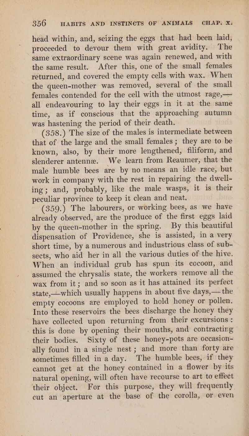 head within, and, seizing the eggs that had been laid, proceeded to devour them with great avidity. The same extraordinary scene was again renewed, and with the same result. After this, one of the small females returned, and covered the empty cells with wax. When the queen-mother was removed, several of the small females contended for the cell with the utmost rage,— all endeavouring to lay their eggs in it at the same time, as if conscious that the approaching autumn was hastening the period of their death. (358.) The size of the males is intermediate between that of the large and the small females; they are to be known, also, by their more lengthened, filiform, and slenderer antenne. We learn from Reaumer, that the male humble bees are by no means an idle race, but work in company with the rest in repairing the dwell- ing; and, probably, like the male wasps, it is their peculiar province to keep it clean and neat. (359.) The labourers, or working bees, as we have already observed, are the produce of the first eggs laid by the queen-mother in the spring. By this beautiful dispensation of Providence, she is assisted, in a very short time, by a numerous and industrious class of sub- sects, who aid her in all the various duties of the hive. When an individual grub has spun its cocoon, and assumed the chrysalis state, the workers remove all the wax from it; and so soon as it has attained its perfect state,-which usually happens in about five days,— the empty cocoons are employed to hold honey or pollen. Into these reservoirs the bees discharge the honey they have collected upon returning from their excursions : this is done by opening their mouths, and contracting their bodies. Sixty of these honey-pots are occasion- ally found in a single nest ; and more than forty are sometimes filled in a day. The humble bees, if they cannot get at the honey contained in a flower by its natural opening, will often have recourse to art to effect their object. For this purpose, they will frequently cut an aperture at the base of the corolla, or even