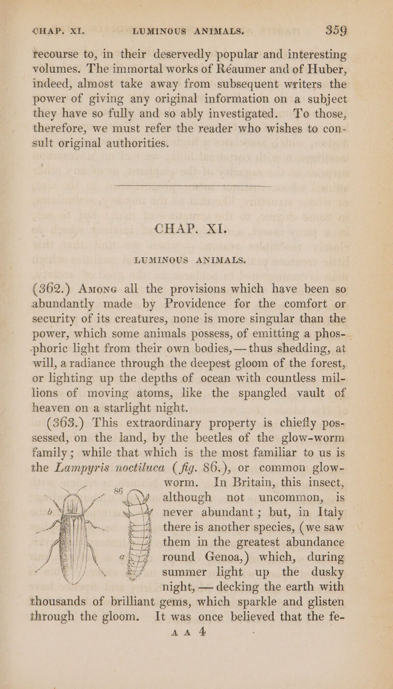 tecourse to, in their deservedly popular and interesting volumes. The immortal works of Réaumer and of Huber, indeed, almost take away from subsequent writers the power of giving any original information on a subject they have so fully and so ably investigated. To those, therefore, we must refer the reader who wishes to con- sult original authorities. CHAP. XI. LUMINOUS ANIMALS. (362.) Amone all the provisions which have been so abundantly made by Providence for the comfort or security of its creatures, none is more singular than the power, which some animals possess, of emitting a phos-. -phoric light from their own bodies,— thus shedding, at will, aradiance through the deepest gloom of the forest, or lighting up the depths of ocean with countless mil- lions of moving atoms, like the spangled vault of heaven on a starlight night. (363.) This extraordinary property is chiefly pos- sessed, on the land, by the beetles of the glow-worm family; while that which is the most familiar to us is the Lampyris noctiluca (fig. 86.), or common glow- worm. In Britain, this insect, although not uncommon, is never abundant ; but, in Italy there is another species, (we saw them in the greatest abundance round Genoa,) which, during summer light up the dusky night, — decking the earth with thousands of brilliant gems, which sparkle and glisten through the gloom. It was once believed that the fe-