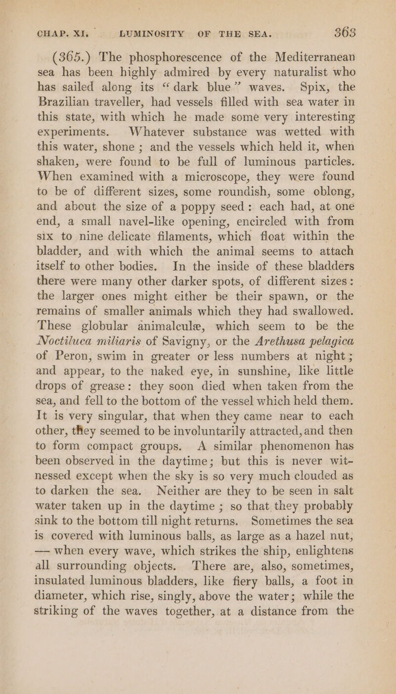 (365.) The phosphorescence of the Mediterranean sea has been highly admired by every naturalist who has sailed along its “dark blue” waves. Spix, the Brazilian traveller, had vessels filled with sea water in this state, with which he made some very interesting experiments. Whatever substance was wetted with this water, shone ; and the vessels which held it, when shaken, were found to be full of luminous particles. When examined with a microscope, they were found to be of different sizes, some roundish, some oblong, and about the size of a poppy seed: each had, at one end, a small navel-like opening, encircled with from six to nine delicate filaments, which float within the bladder, and with which the animal seems to attach itself to other bodies. In the inside of these bladders there were many other darker spots, of different sizes: the larger ones might either be their spawn, or the remains of smaller animals which they had swallowed. These globular animalcule, which seem to be the Noctiluca miliaris of Savigny, or the Arethusa pelagica of Peron, swim in greater or less numbers at night ; and appear, to the naked eye, in sunshine, like little drops of grease: they soon died when taken from the sea, and fell to the bottom of the vessel which held them. It is very singular, that when they came near to each other, they seemed to be involuntarily attracted, and then to form compact groups. A similar phenomenon has been observed in the daytime; but this is never wit- nessed except when the sky is so very much clouded as to darken the sea. Neither are they to be seen in salt water taken up in the daytime ; so that they probably sink to the bottom till night returns. Sometimes the sea is covered with luminous balls, as large as a hazel nut, — when every wave, which strikes the ship, enlightens all surrounding objects. There are, also, sometimes, insulated luminous bladders, like fiery balls, a foot in diameter, which rise, singly, above the water; while the striking of the waves together, at a distance from the