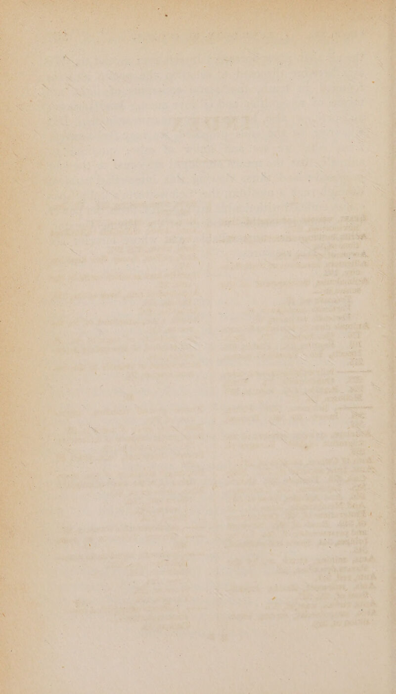 aA pares &amp; a > oese: E