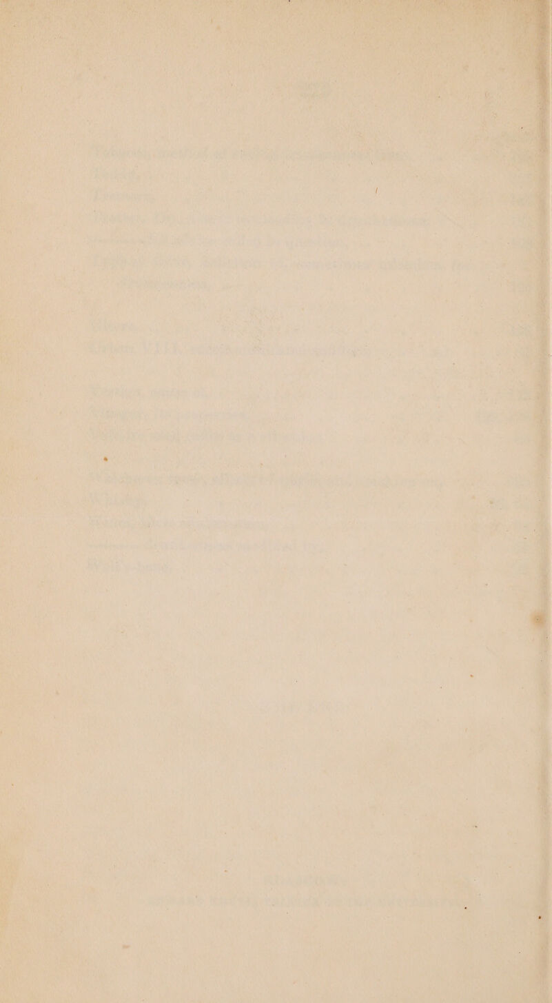 Che ae eS SORE, eres nen: ienigilents for ng plana bis iggy . Se ee oe Wr ee