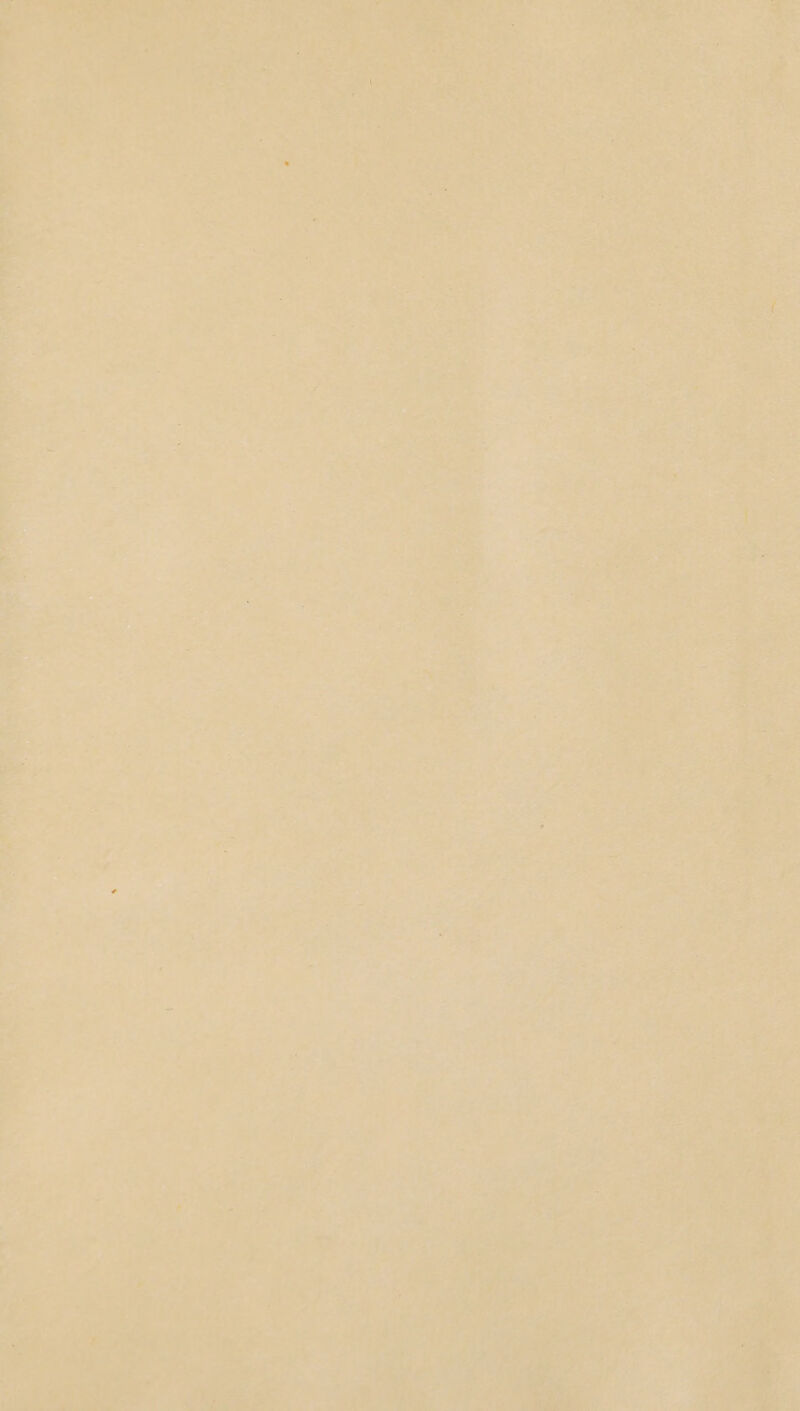 BS e'7 oh ete oh ore