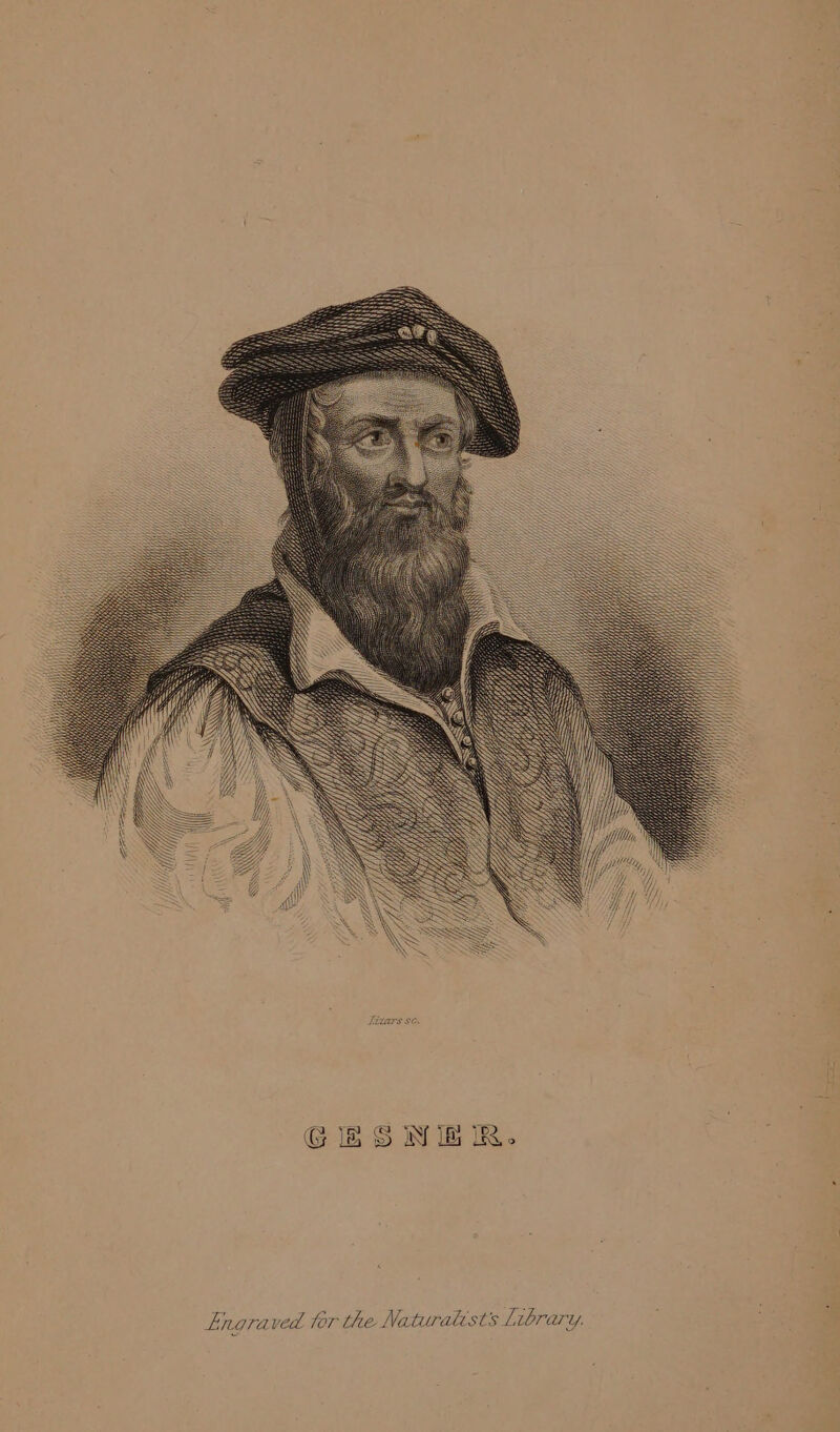 SSS ars SE. Tht Naturalists Library. 7 Lhe 1 o F-nagraved tk