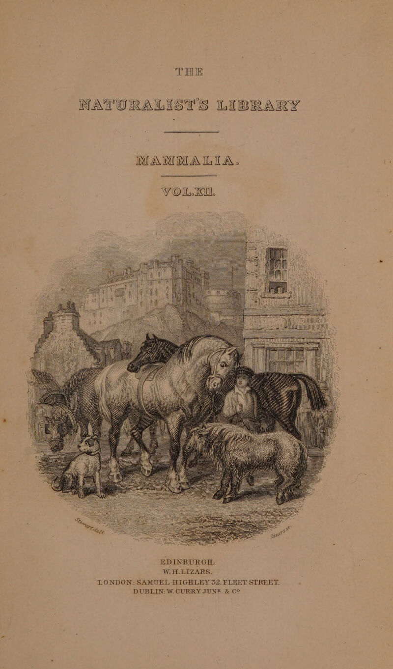 THE MAMMALIA. VOL.xU, Hit Silly) AEN An: TOOT TT) EDINBURGH. W.H.LIZARS, LONDON: SAMUEL HIGHLEY 532. FLEET STREET. DUBLIN: W. CURRY JUNE &amp; C9