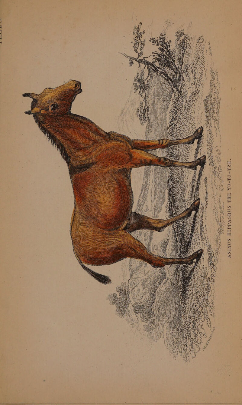 “ wy: wy “ss aA “dZL-OL-OA XHL SNWOVddIH SONISV SS MWS tg ANA