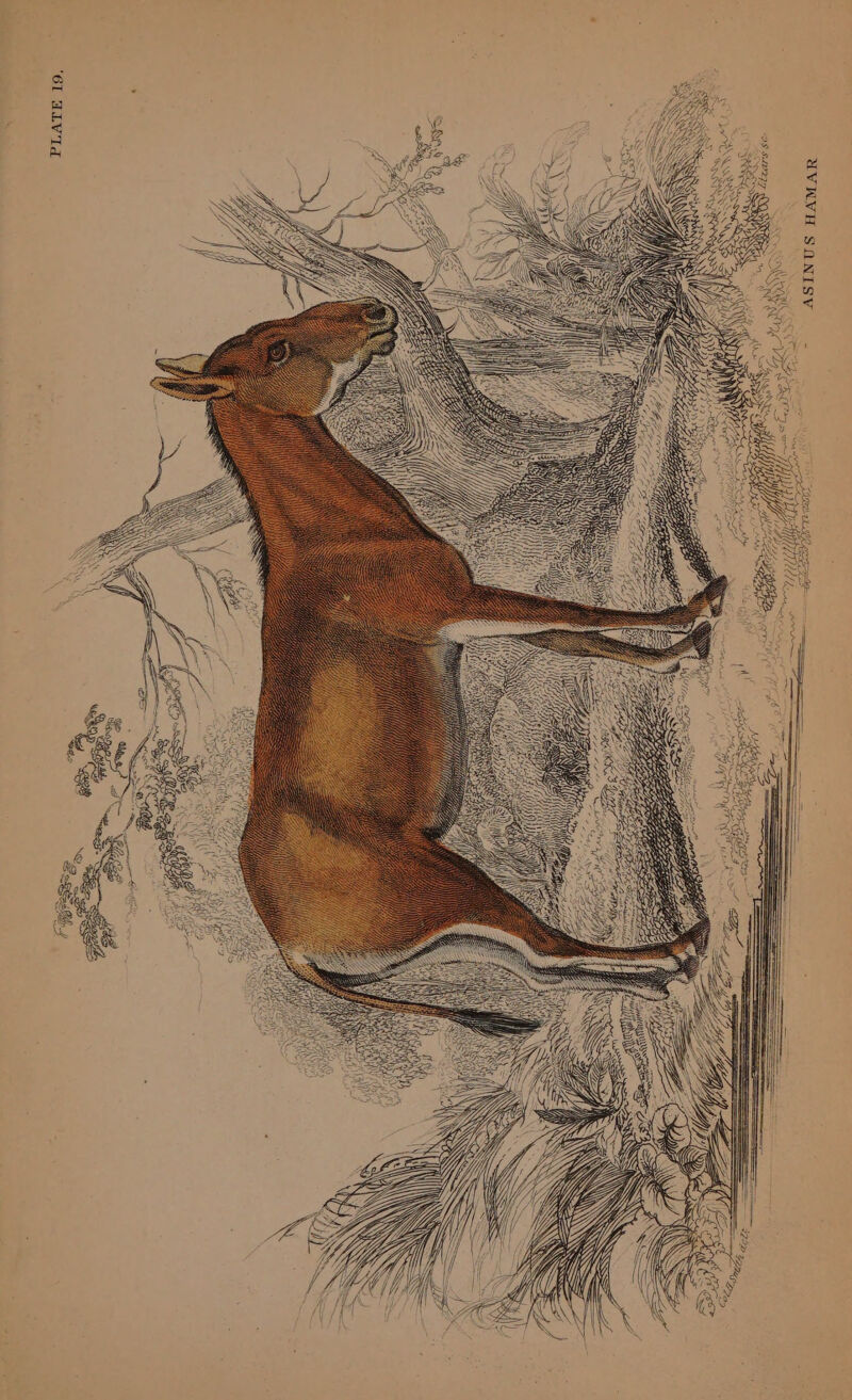 aVvVnVH SONISV < se Tsay YON BUY carga ae = Vv : f OVE y 3 Aa Ot sel ng aie. = WWW Oe ake Y ye re . $$$ Ge ‘6L TLV Td