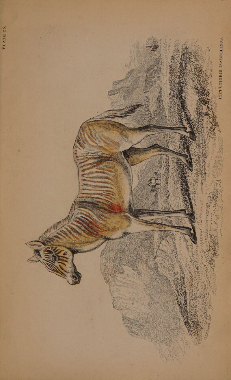 “SQNTTIAZLVST SIYSILOdd TH GE LV TE FS Se se OON Ying 5 ey n Tia DIG a - Wy ws a ah AK, HANH,