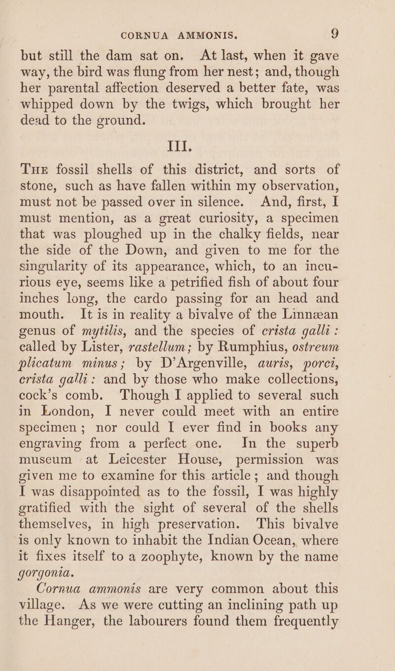 but still the dam sat on. At last, when it gave way, the bird was flung from her nest; and, though her parental affection deserved a better fate, was whipped down by the twigs, which brought her dead to the ground. Ett, Tue fossil shells of this district, and sorts of stone, such as have fallen within my observation, must not be passed over in silence. And, first, I must mention, as a great curiosity, a specimen that was ploughed up in the chalky fields, near the side of the Down, and given to me for the singularity of its appearance, which, to an incu- rious eye, seems like a petrified fish of about four inches long, the cardo passing for an head and mouth. It is in reality a bivalve of the Linnzean genus of mytzlis, and the species of crista galli : ealled by Lister, rastellum; by Rumphius, ostreum plicatum minus; by D’Argenville, auris, porct, erista gallu: and by those who make collections, cock’s comb. Though I applied to several such in London, I never could meet with an entire specimen; nor could I ever find in books any engraving from a perfect one. In the superb museum at Leicester House, permission was given me to examine for this article; and though I was disappointed as to the fossil, I was highly gratified with the sight of several of the shells themselves, in high preservation. This bivalve is only known to inhabit the Indian Ocean, where it fixes itself to a zoophyte, known by the name gorgonia. Cornua ammonis are very common about this village. As we were cutting an inclining path up the Hanger, the labourers found them frequently